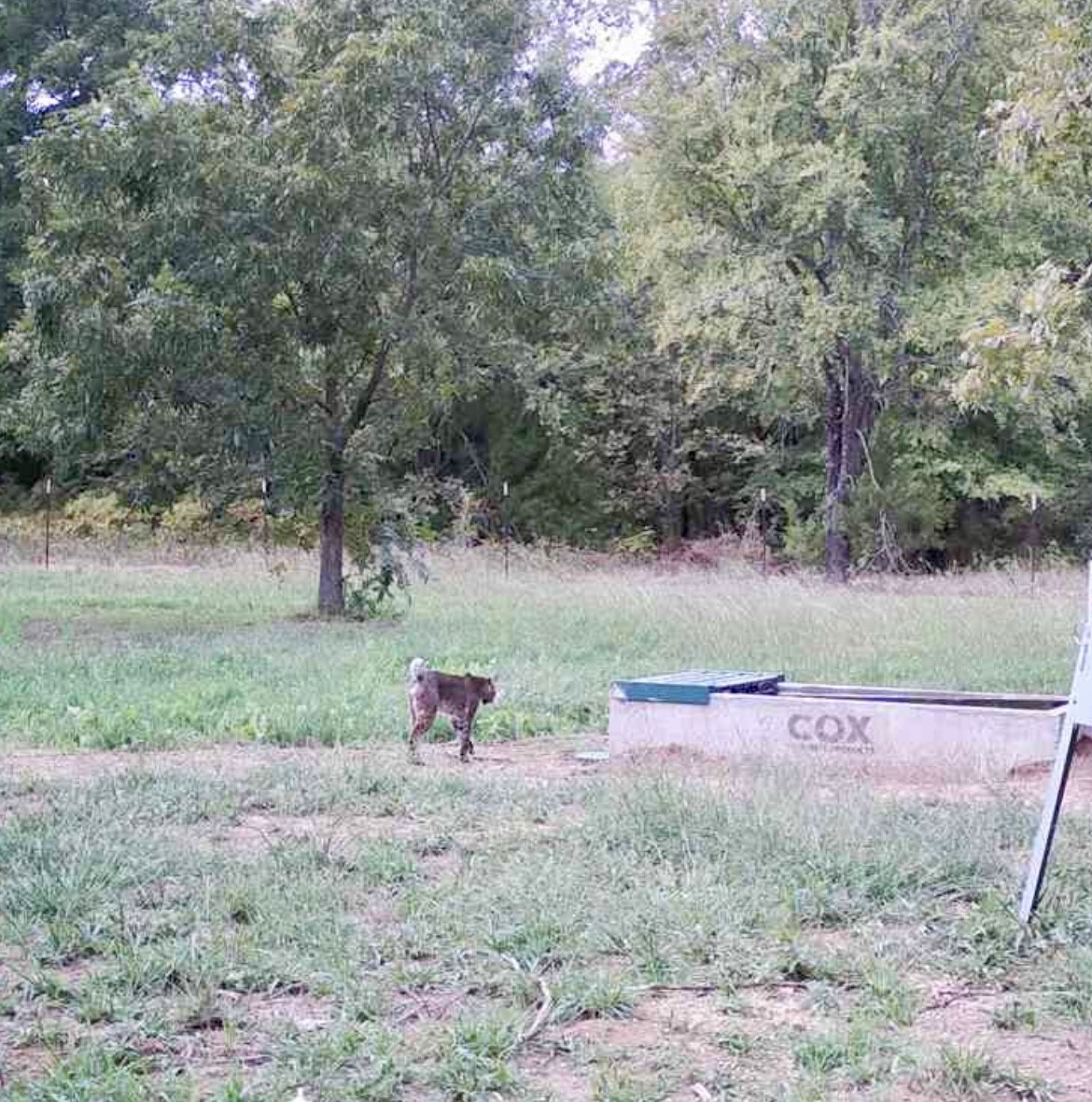 9439 County Road 103 Whitesboro TX 76273