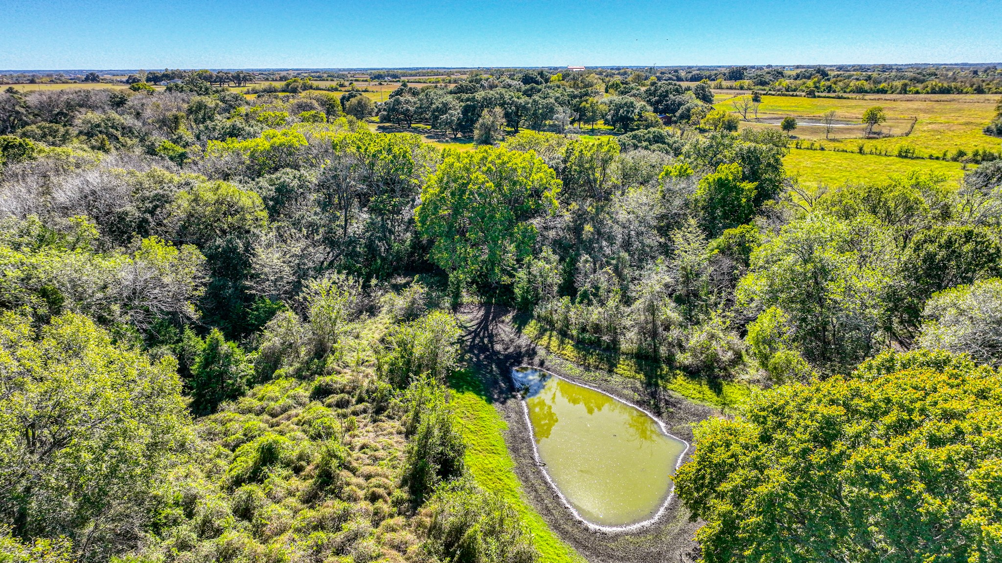 8145 Fm 390 E Brenham TX 77833