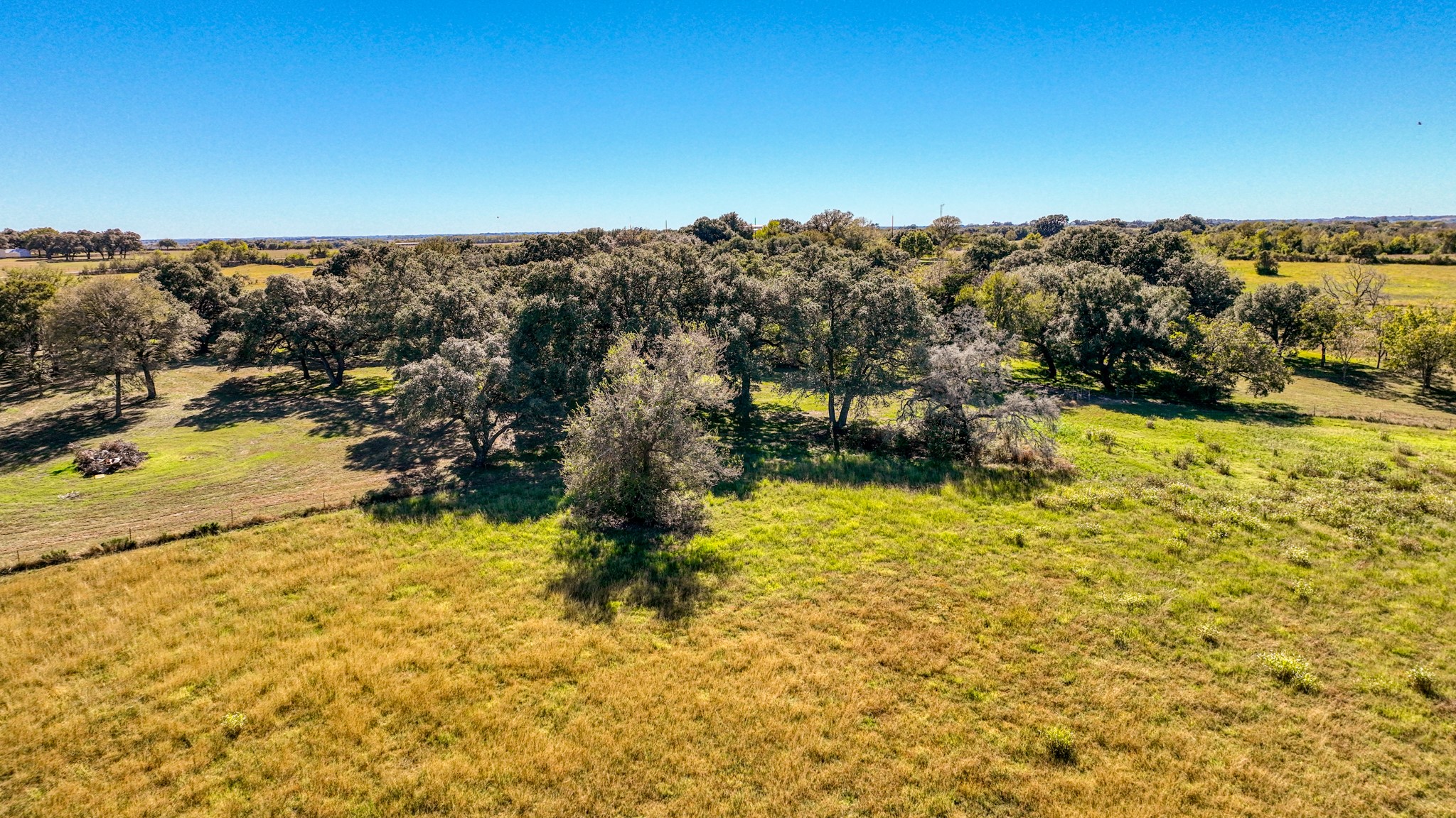 8145 Fm 390 E Brenham TX 77833