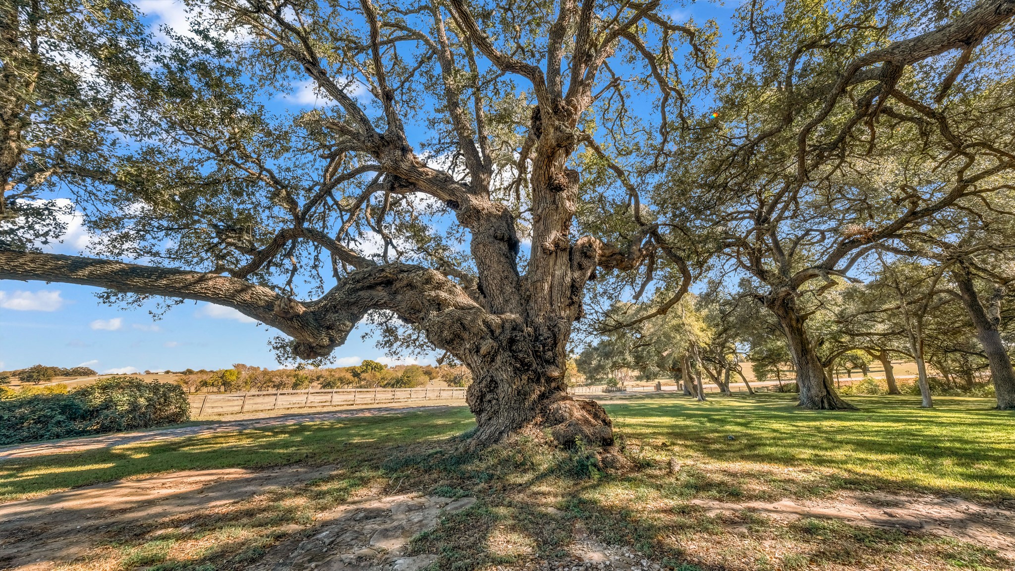 8145 Fm 390 E Brenham TX 77833