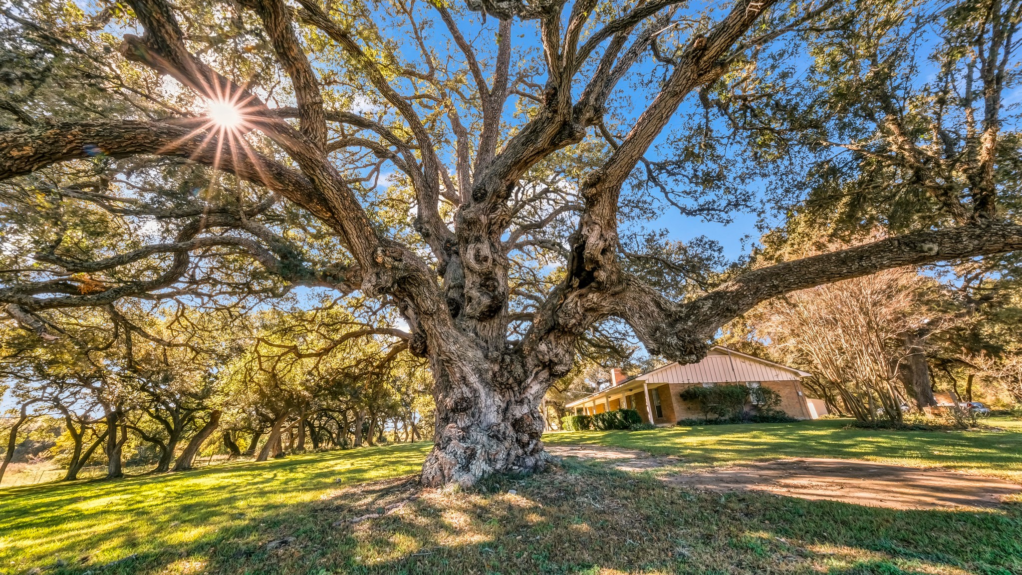 8145 Fm 390 E Brenham TX 77833