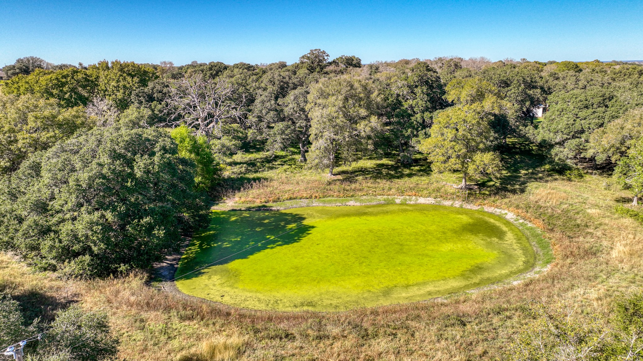 8145 Fm 390 E Brenham TX 77833