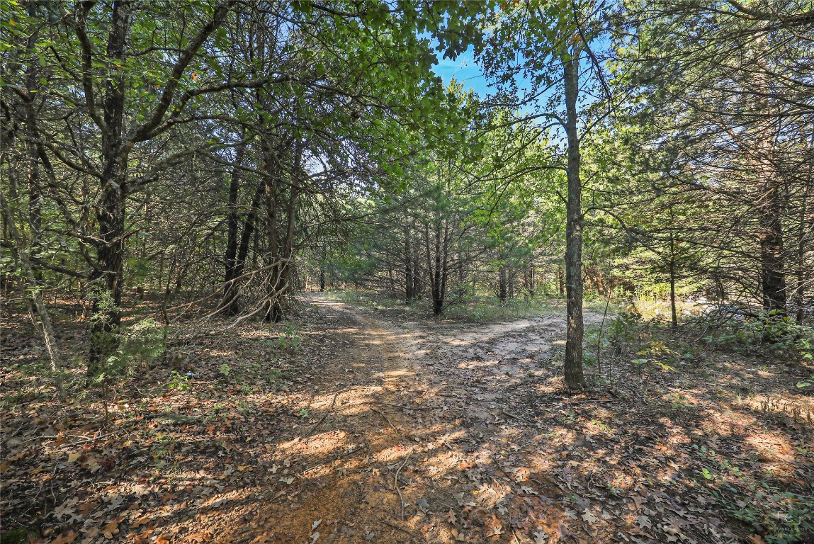 1463 Cathey Drive Denison TX 75020