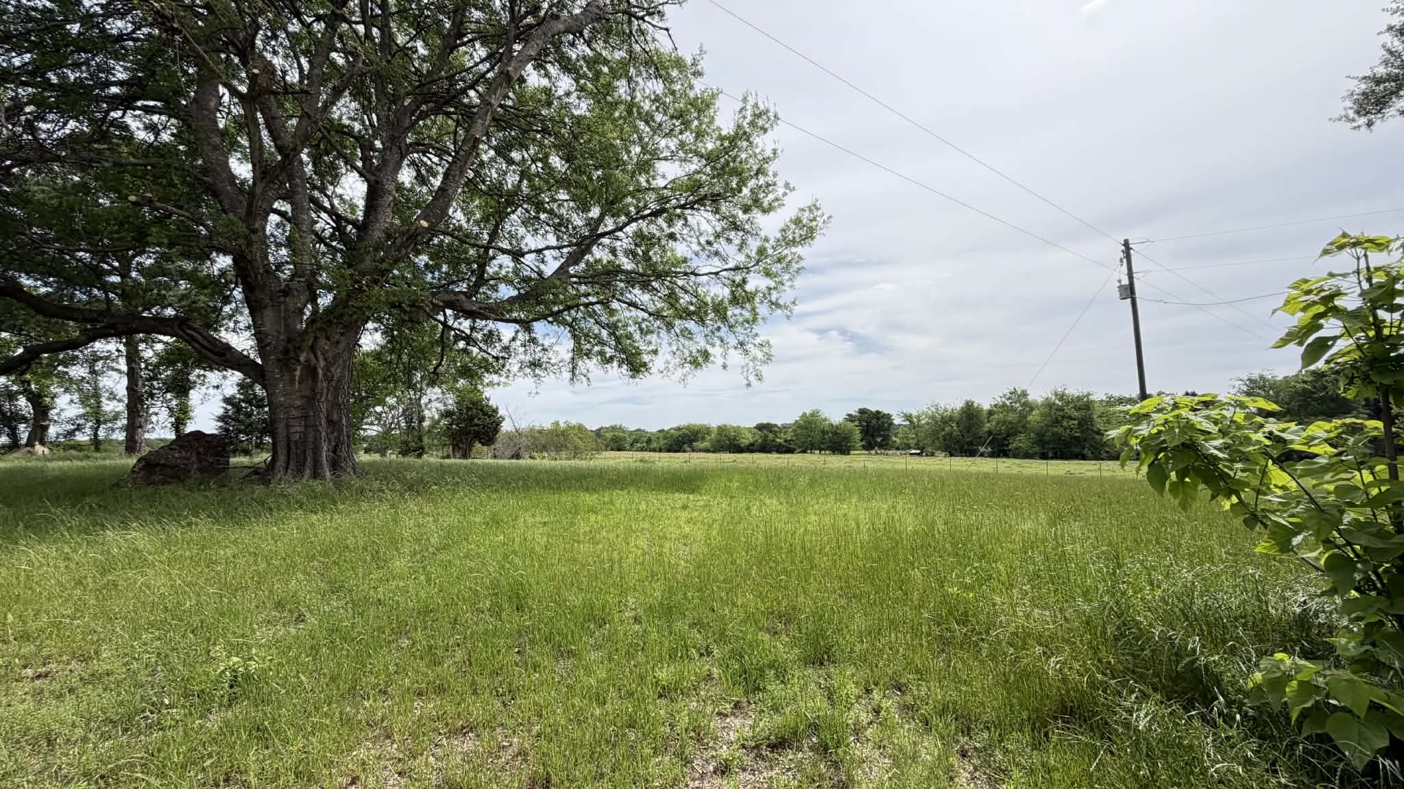 301 Vz County 1320 Road Canton TX 75103