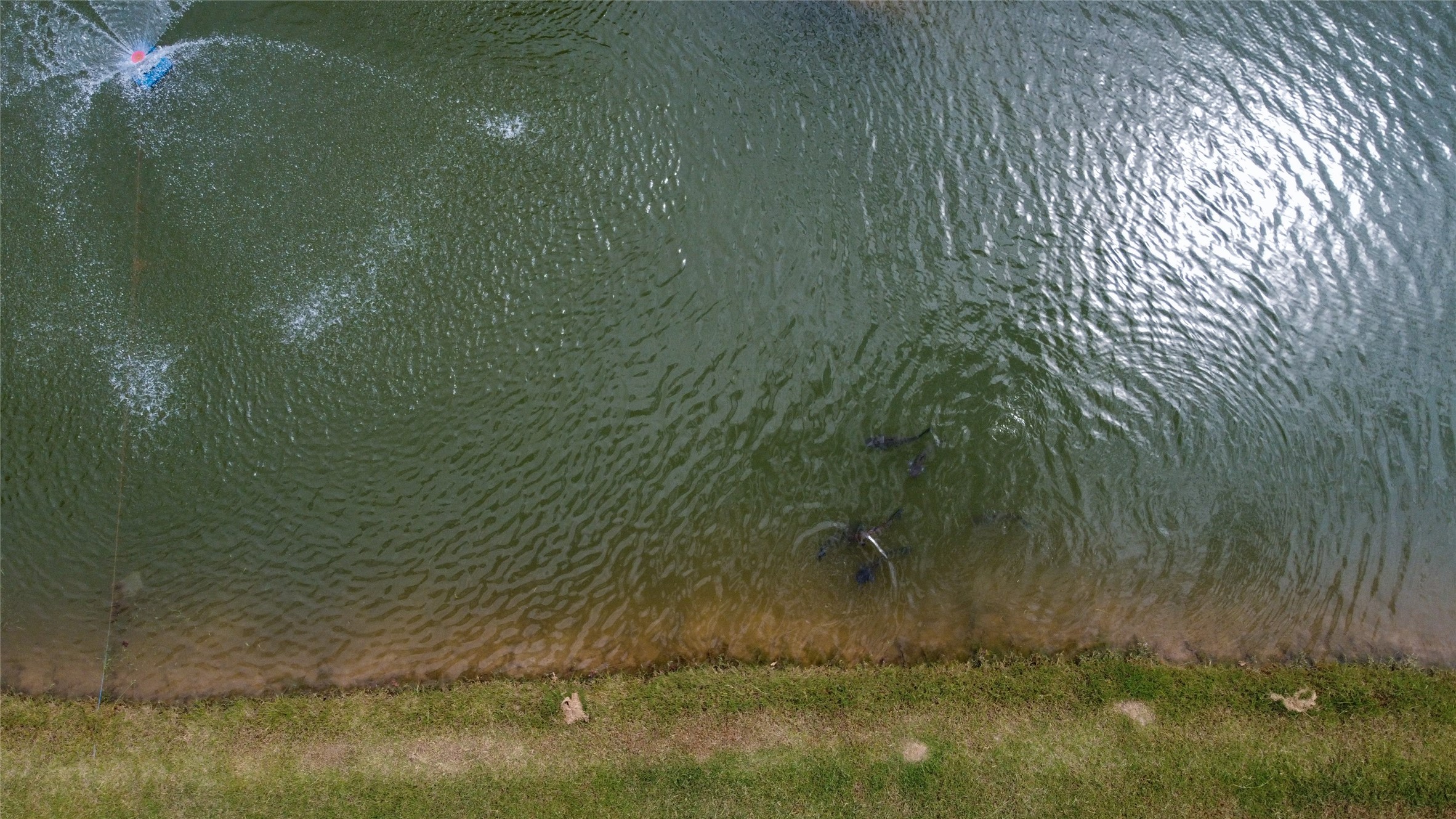 365 Cimmarron Trail Runaway Bay TX 76426