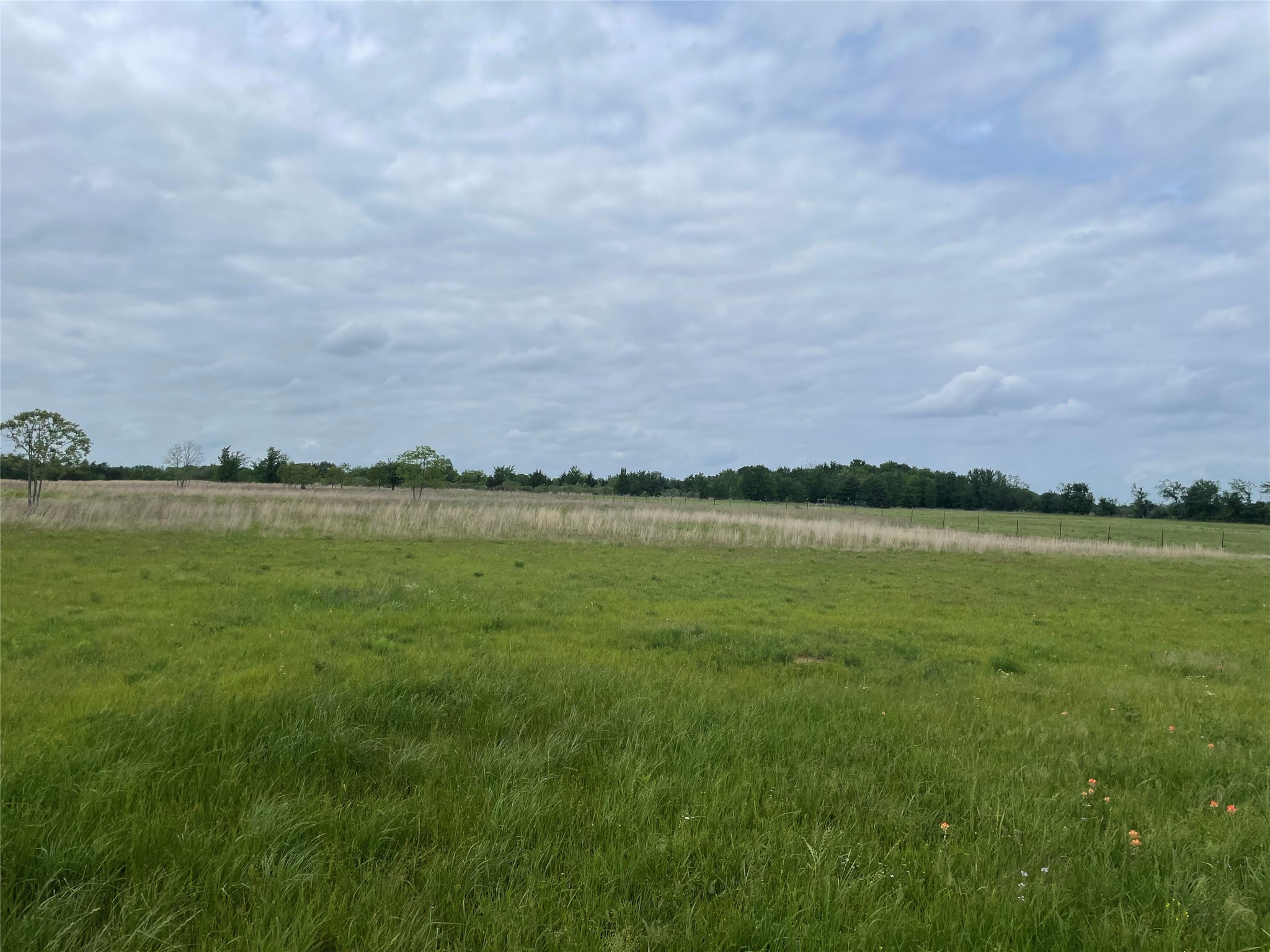 712 Vz County Road 3510 Wills Point TX 75169