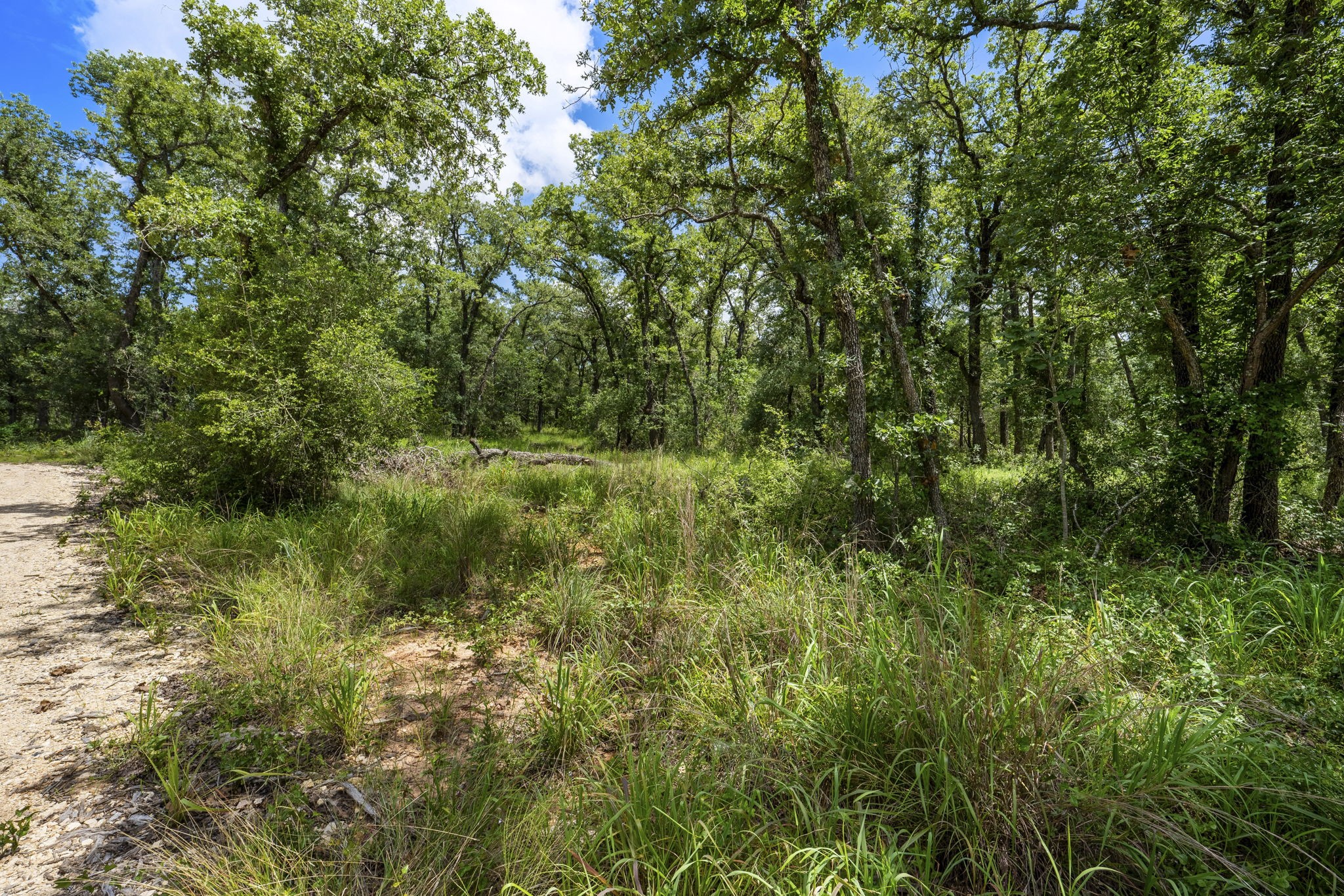 868 County Road 405 Buckholts TX 76518