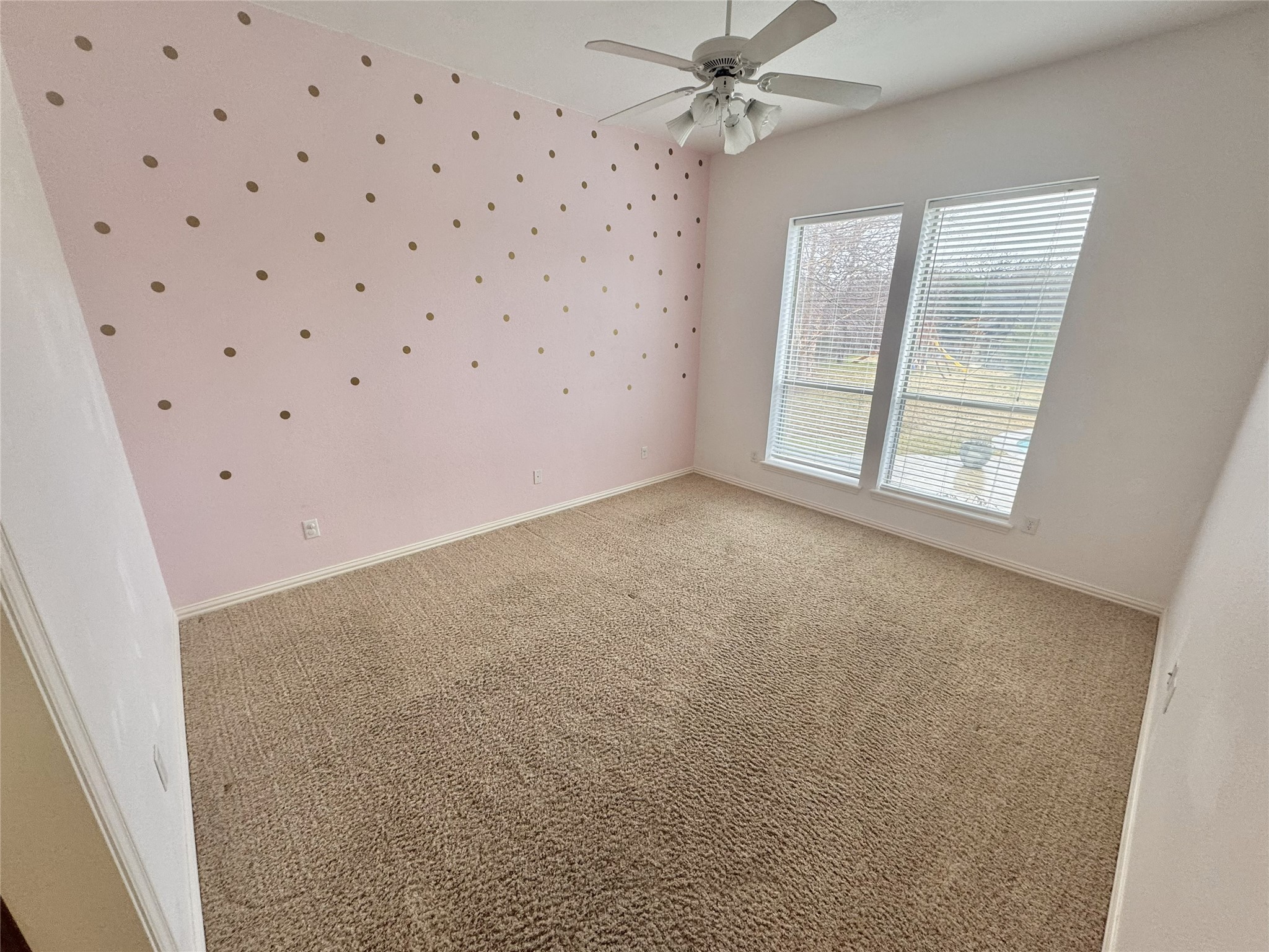 9763 Rock Dove Circle Fort Worth TX 76244