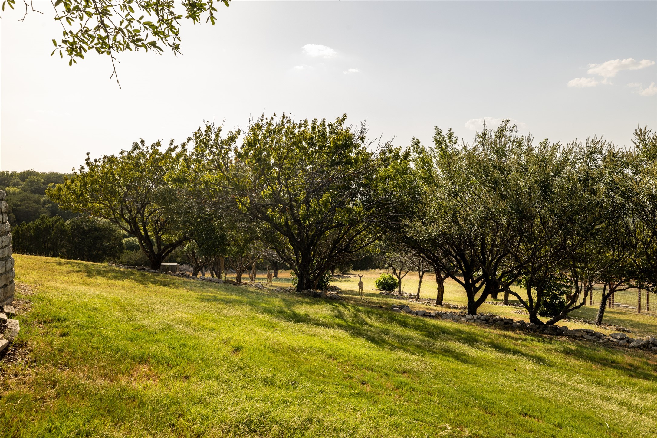 270 Stone Mountain Road Cresson TX 76035