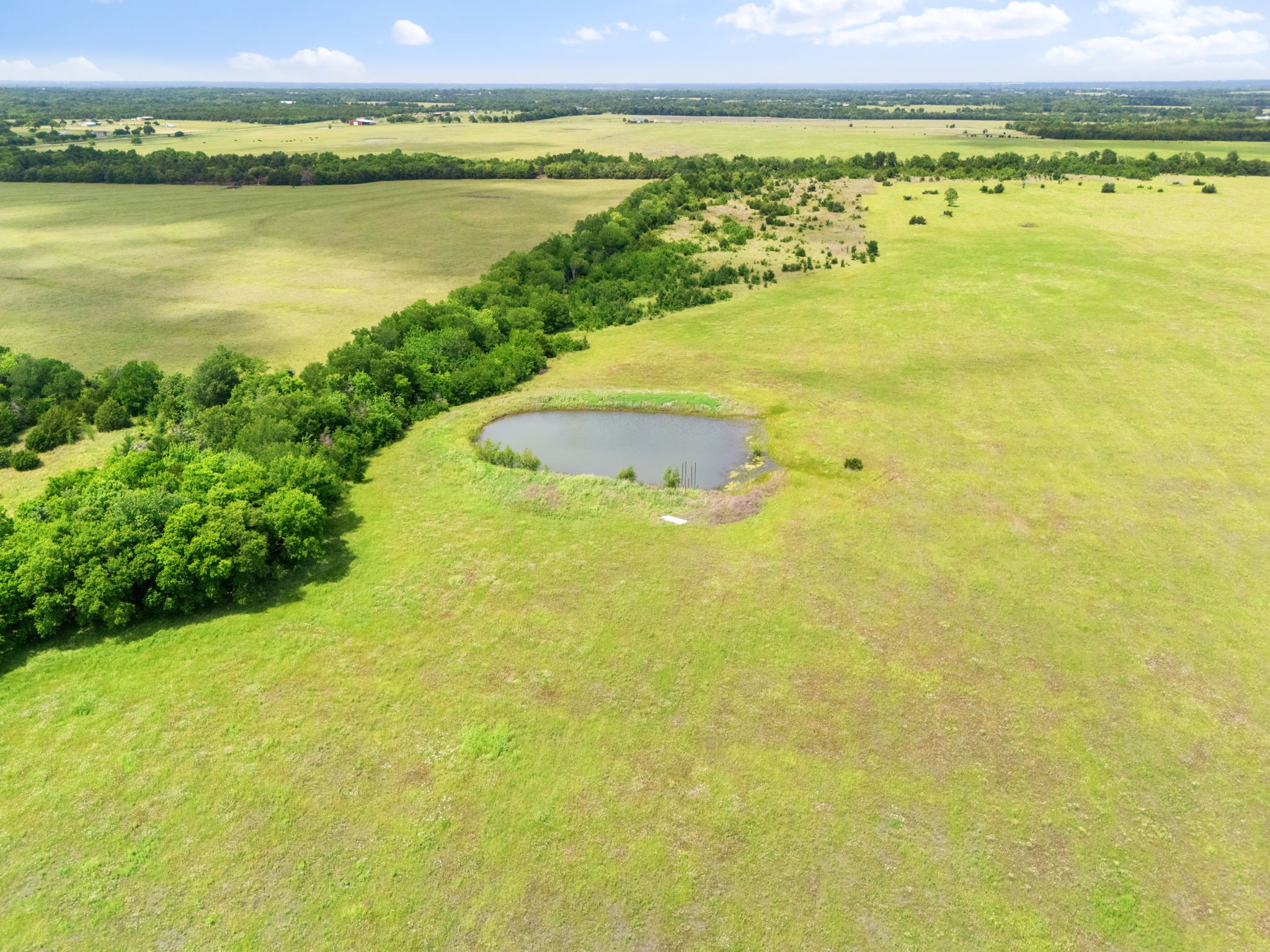 404 Fm 1566 W Wolfe City TX 75496