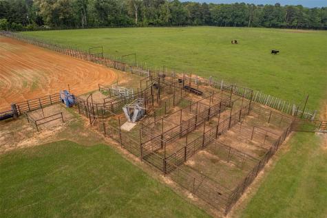 23241 County Road 2159 Troup TX 75789