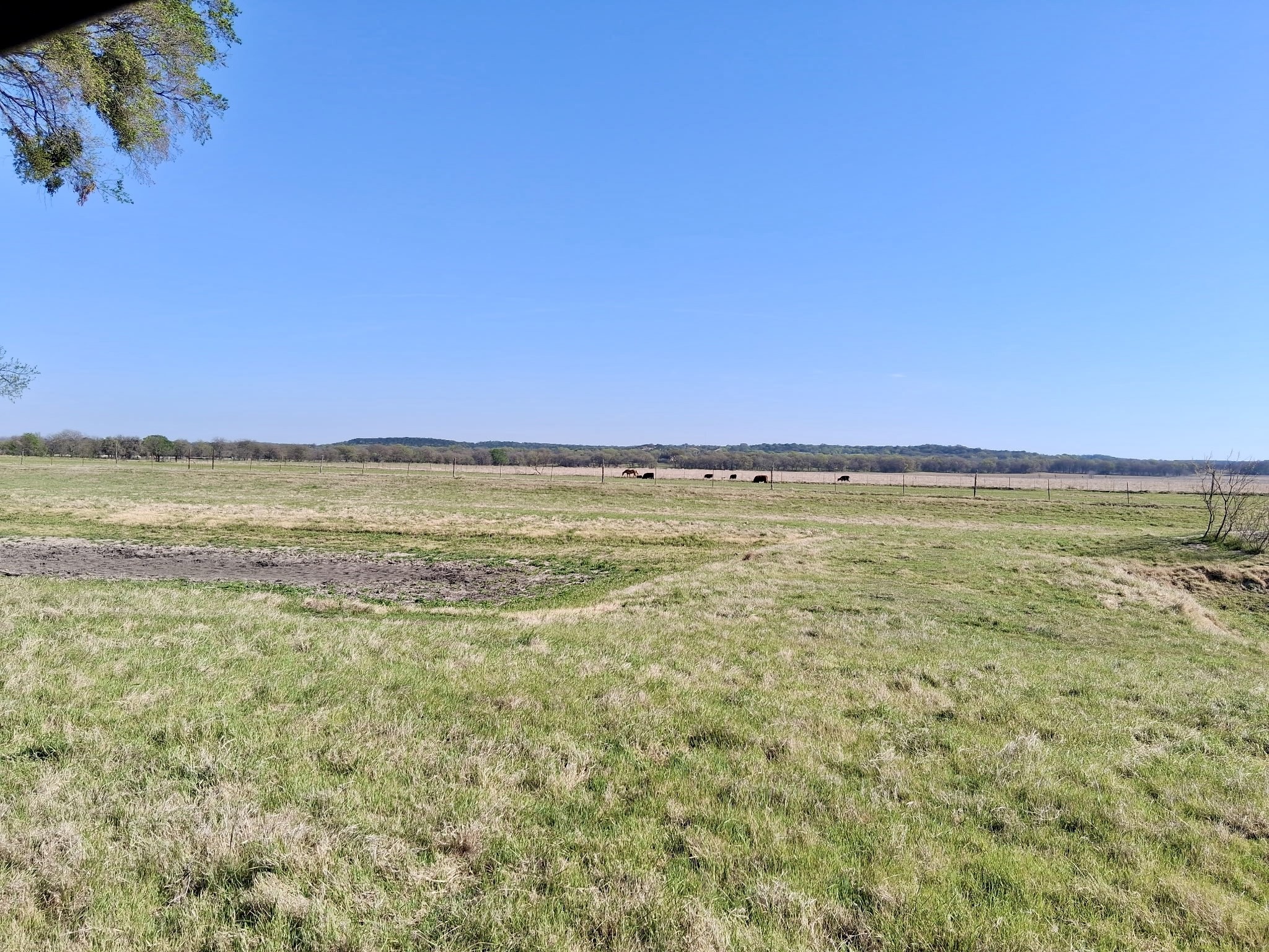 291 County Road 3305 Clifton TX 76634