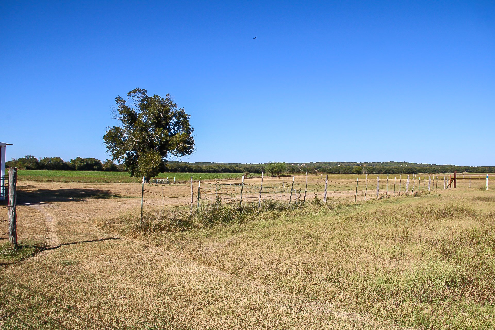 291 County Road 3305 Clifton TX 76634