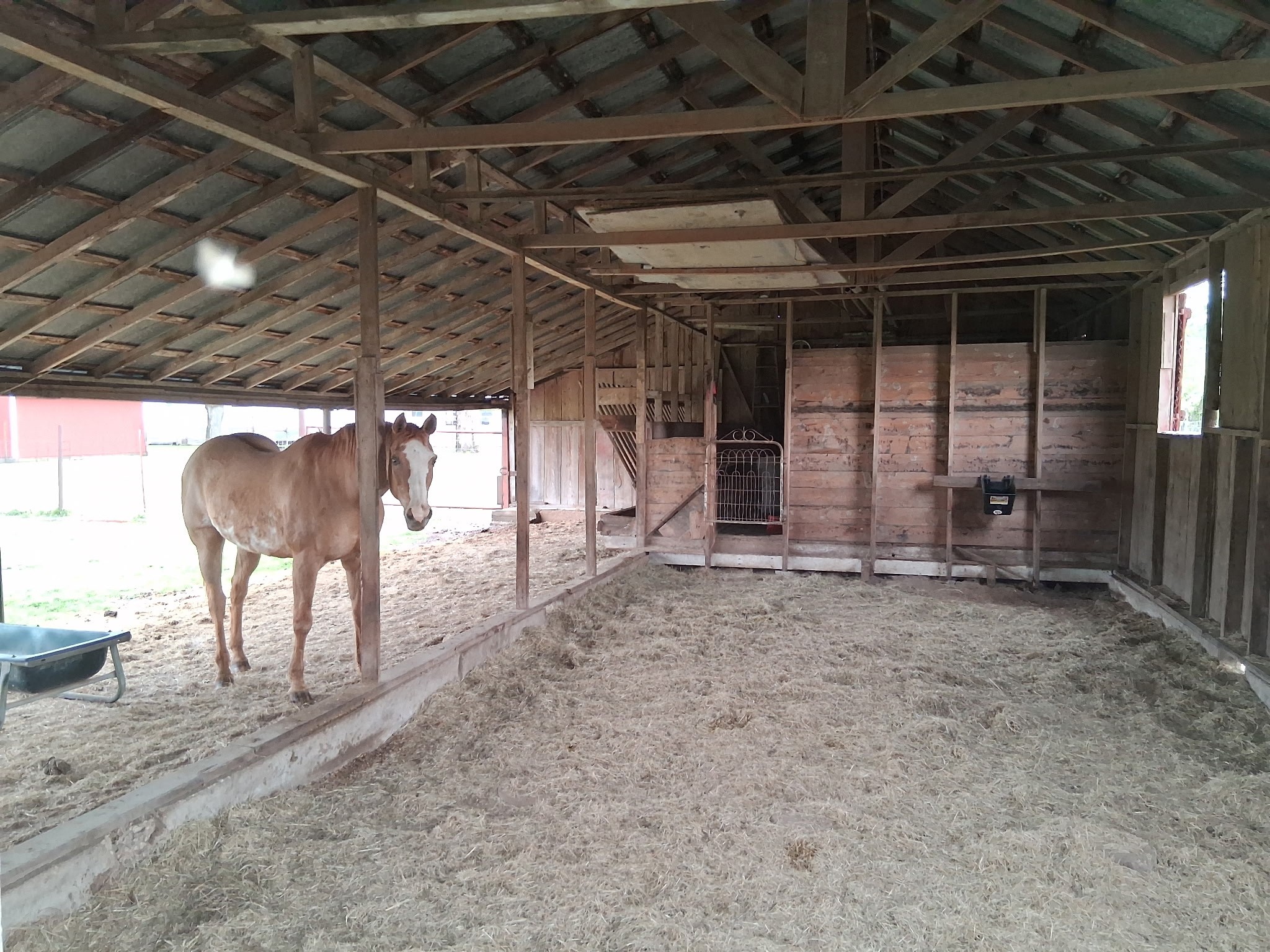 291 County Road 3305 Clifton TX 76634