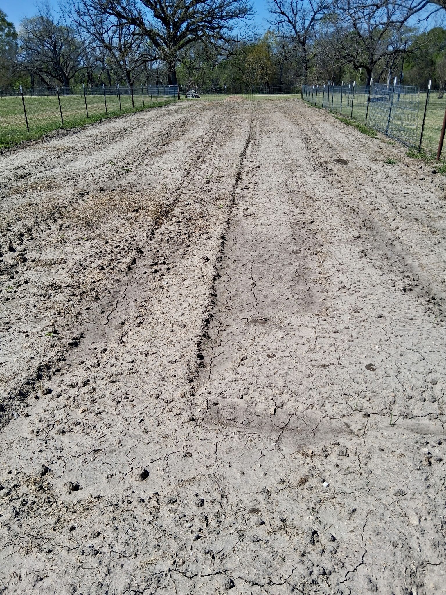 291 County Road 3305 Clifton TX 76634