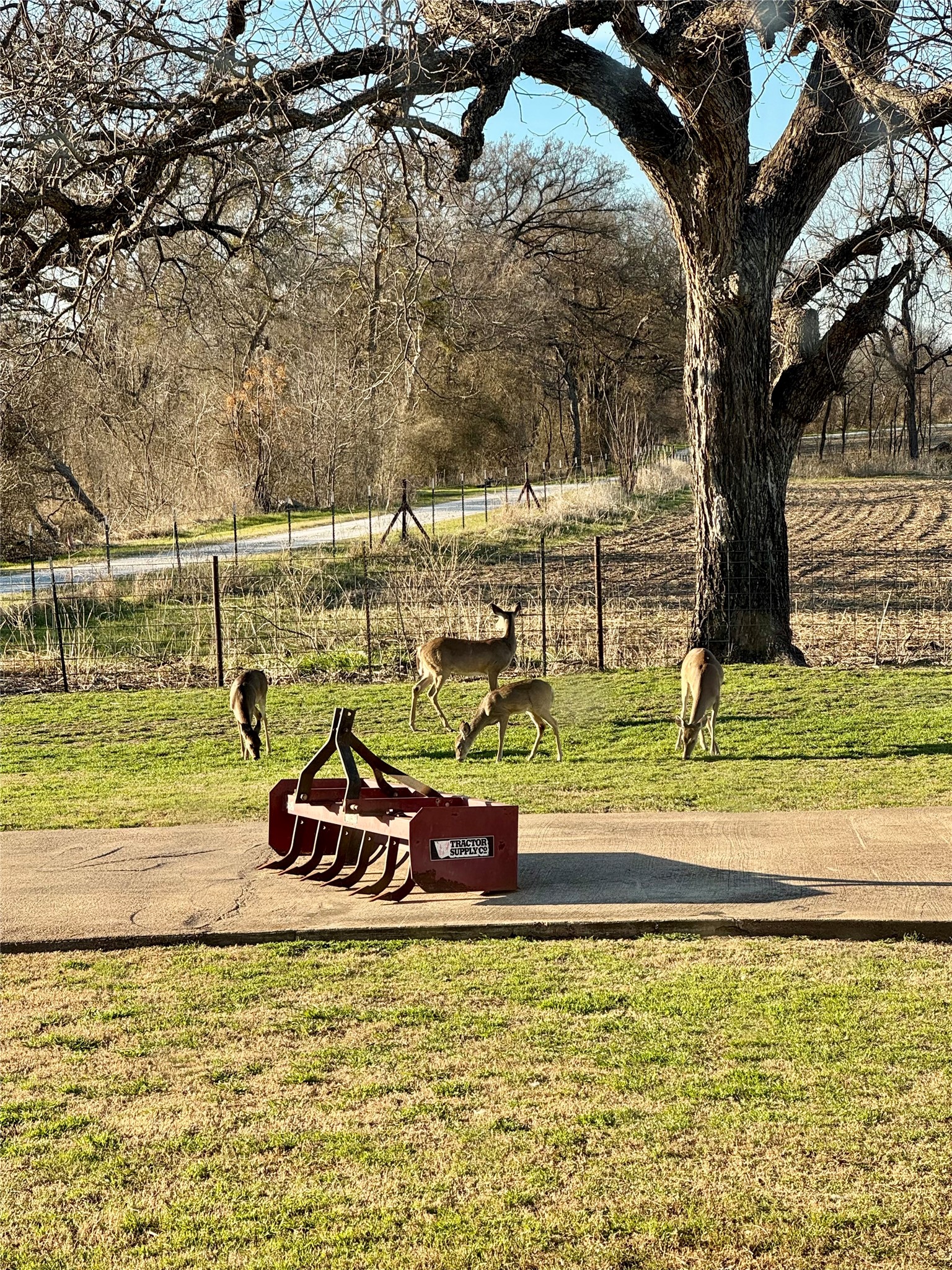 291 County Road 3305 Clifton TX 76634