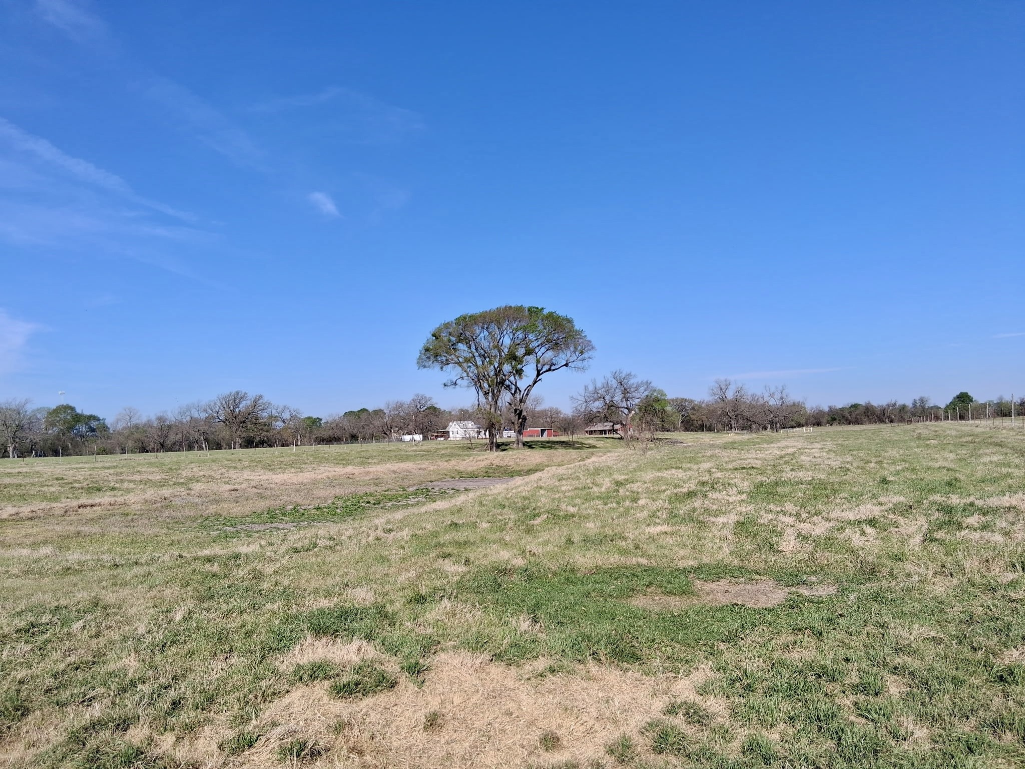 291 County Road 3305 Clifton TX 76634