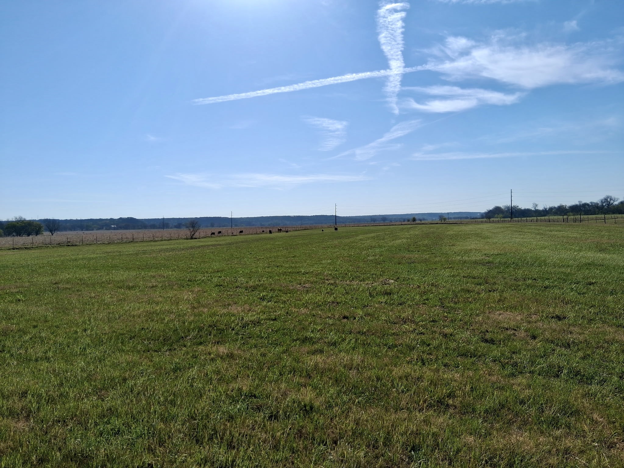 291 County Road 3305 Clifton TX 76634