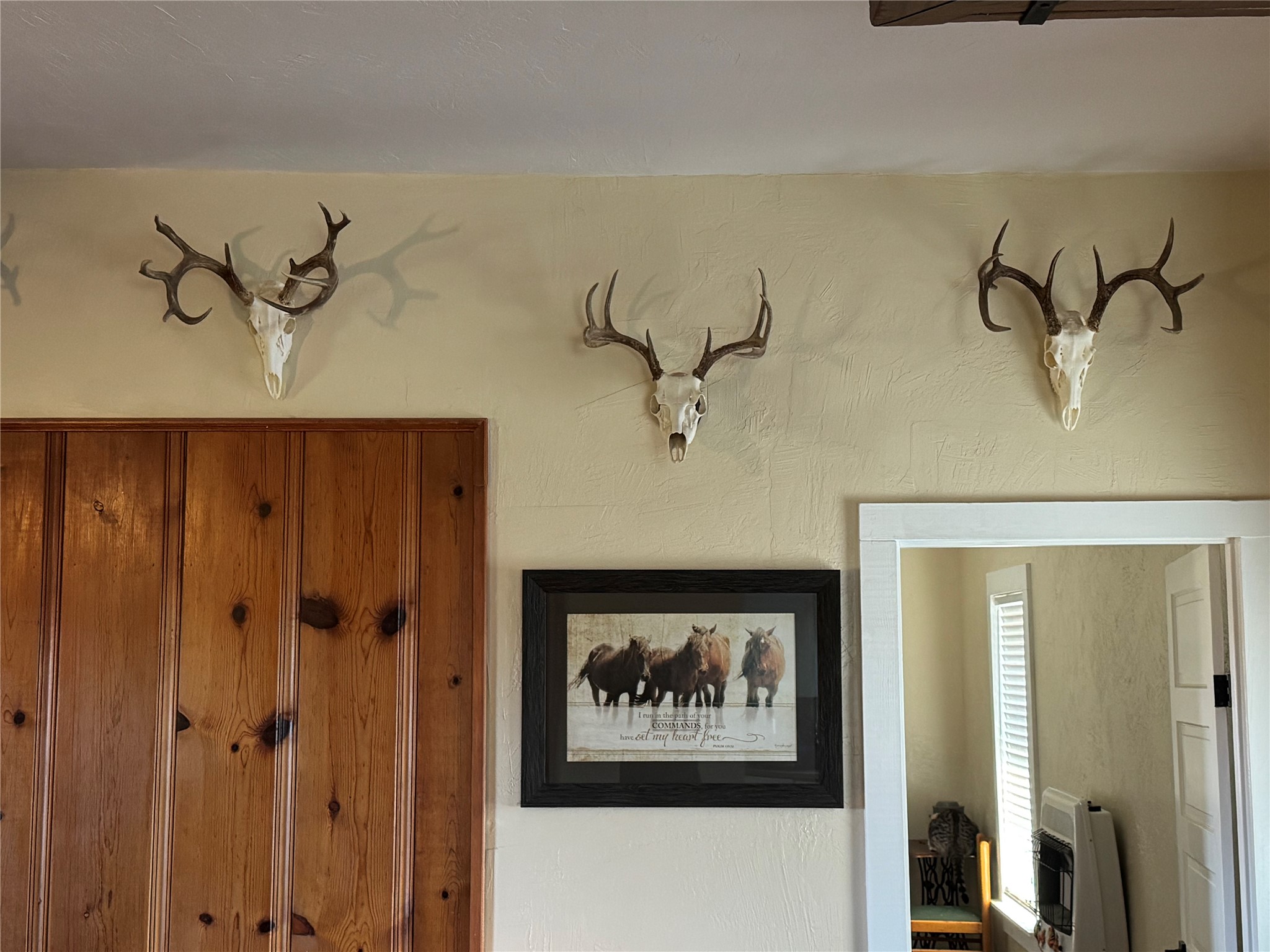 291 County Road 3305 Clifton TX 76634