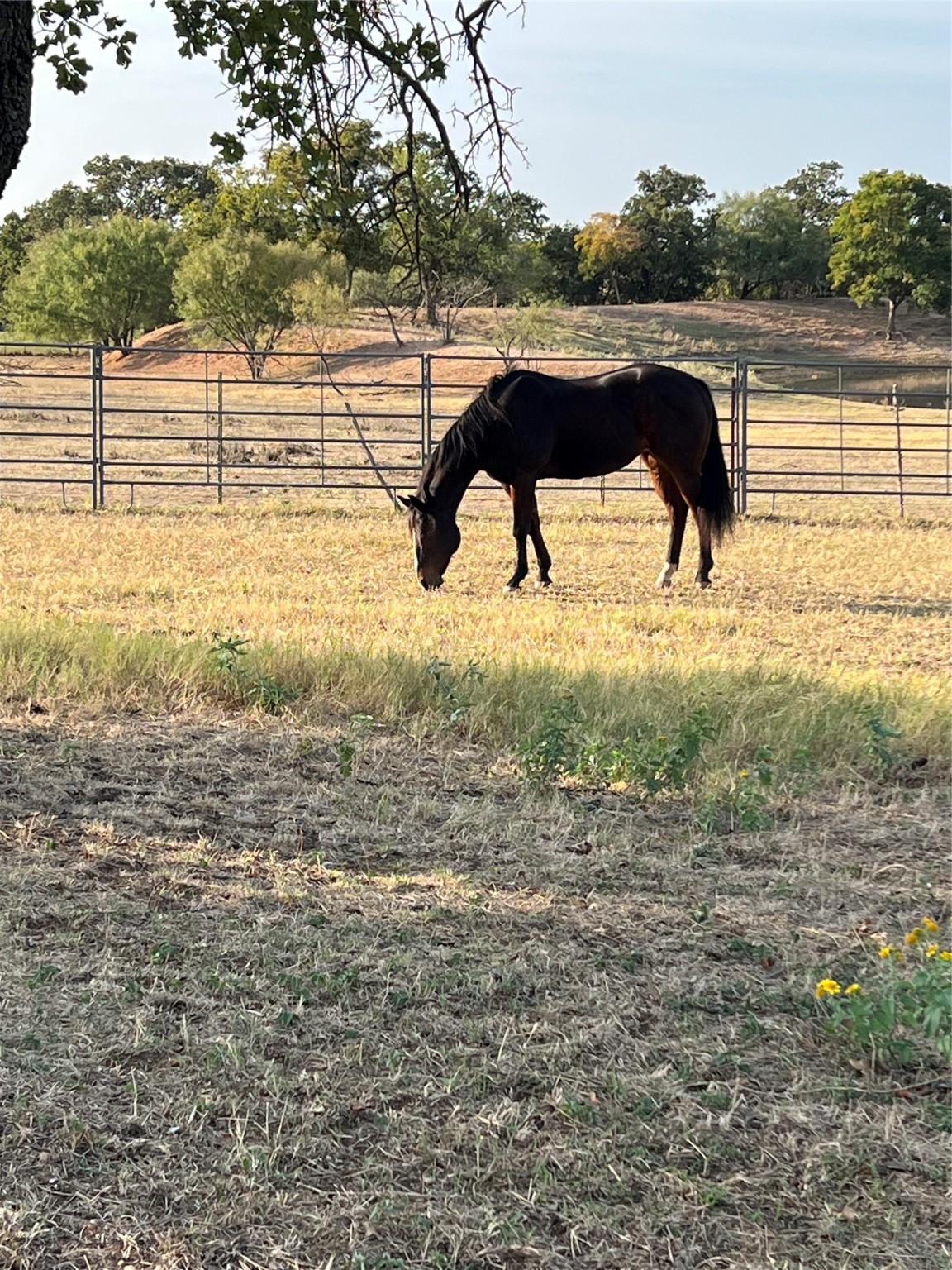 2025 Highway 112 Eastland TX 76448