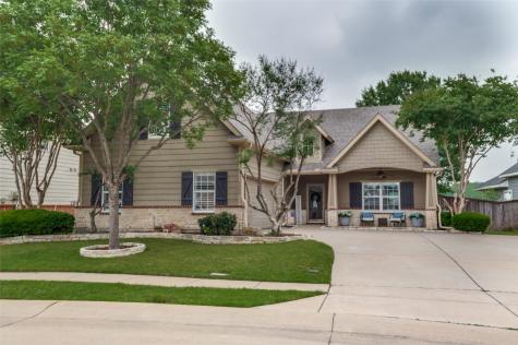 9308 Water Tree Drive Mckinney TX 75072