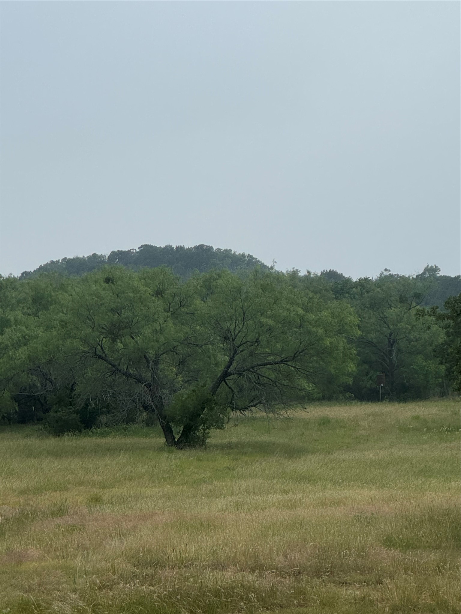12152 County Road 156 Bluff Dale TX 76433
