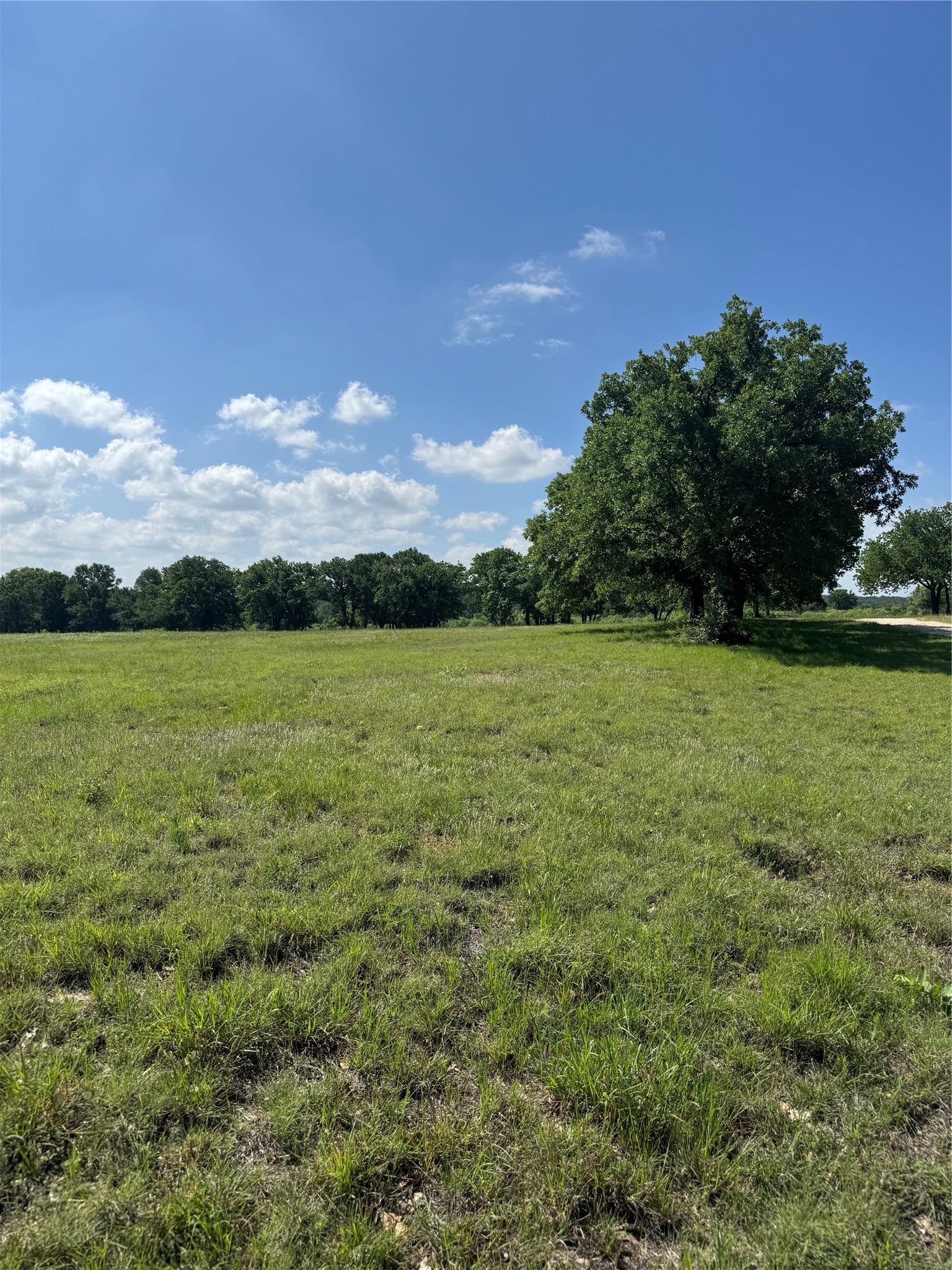 12152 County Road 156 Bluff Dale TX 76433
