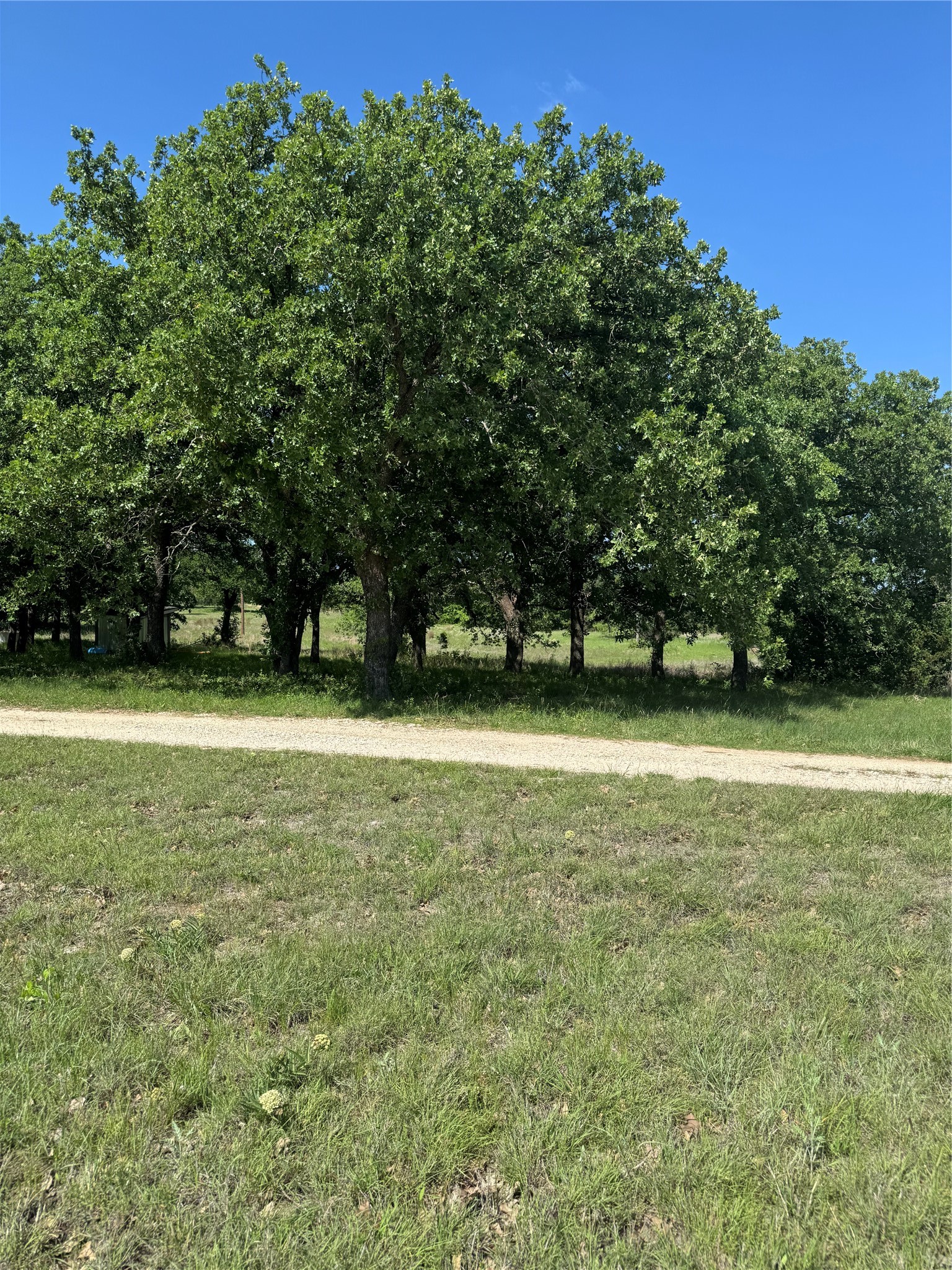 12152 County Road 156 Bluff Dale TX 76433