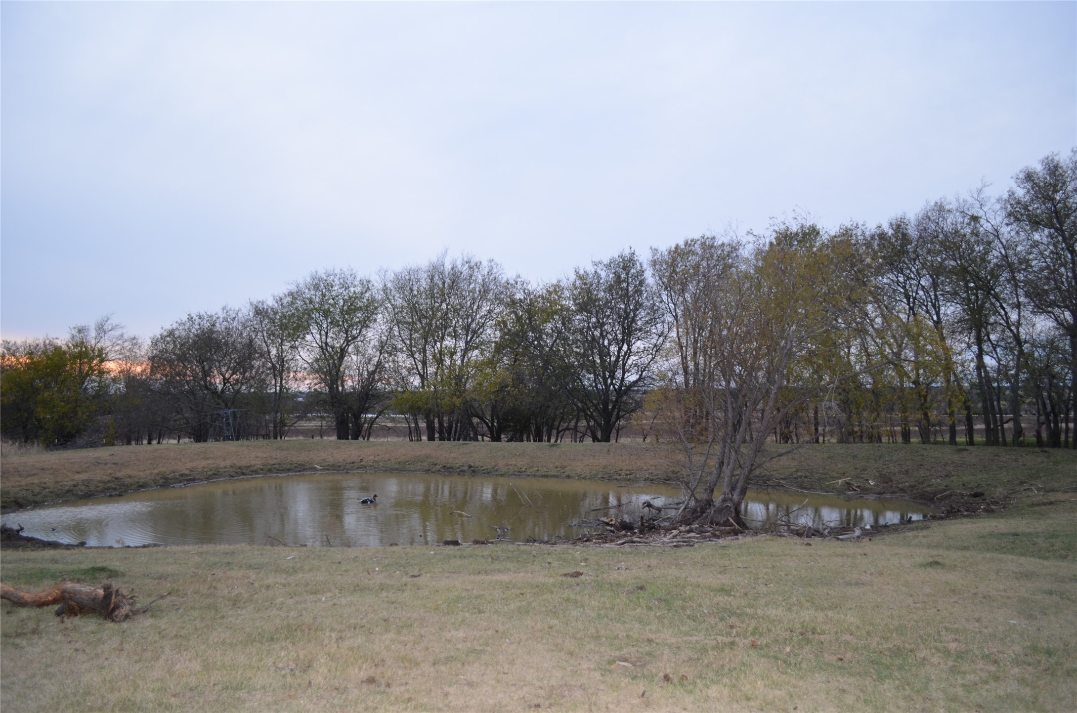 13265 Fm 1385 Pilot Point TX 76258