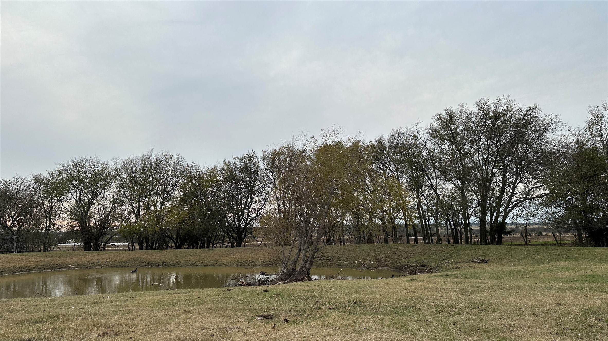 13265 Fm 1385 Pilot Point TX 76258