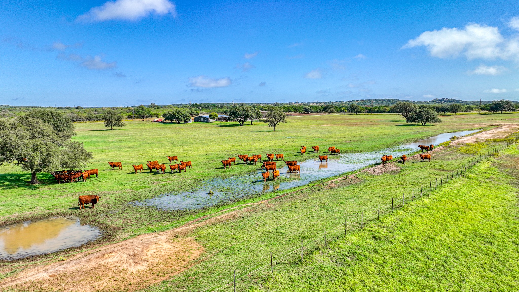 14283 Fm 880 S Cross Plains TX 76443