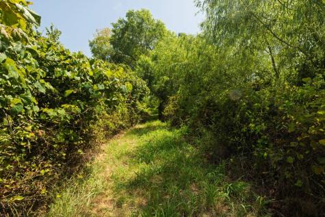 10628 Fm 1125 Highway Bowie TX 76230
