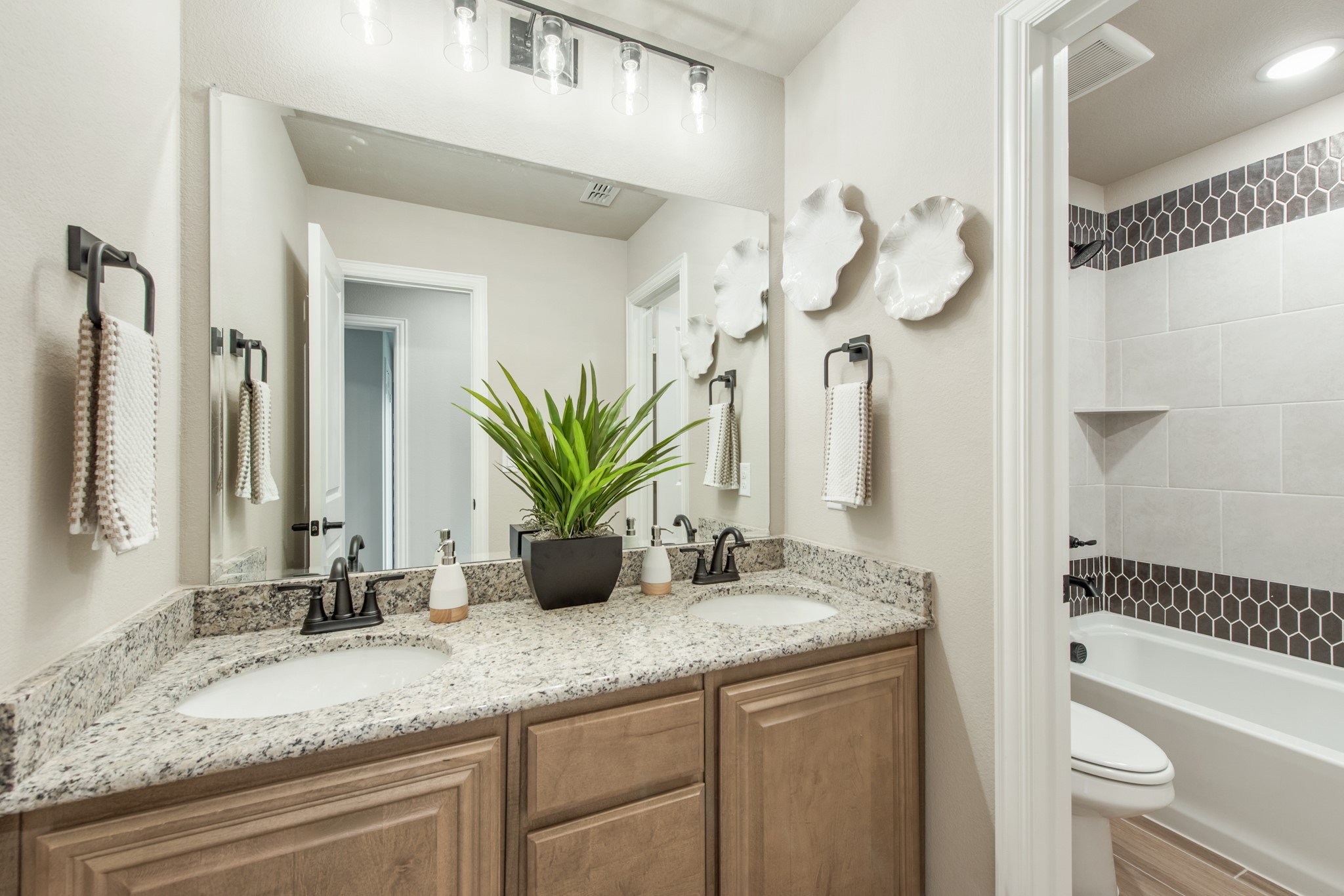 805 Twin Pine Court Anna TX 75409