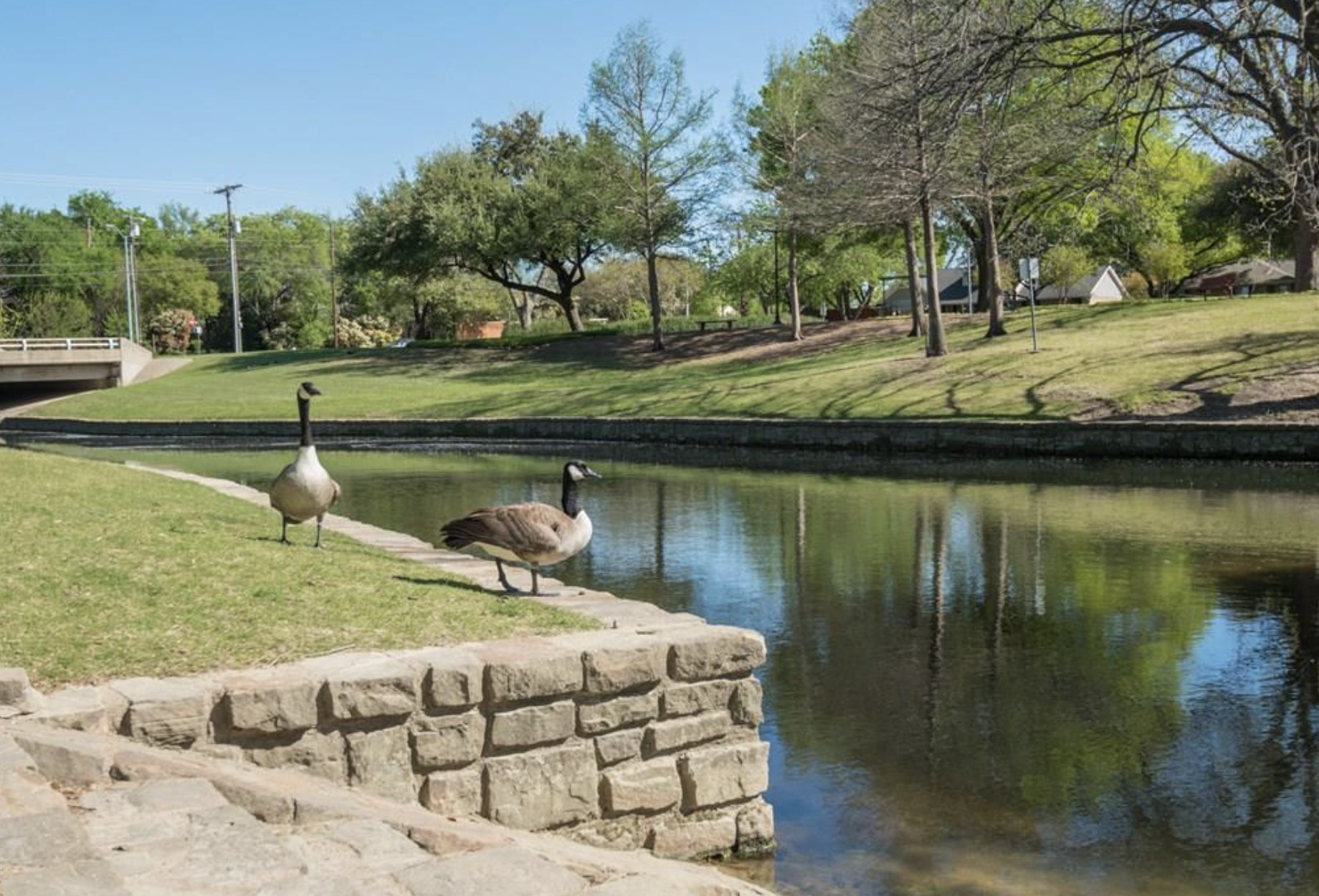 2888 Reedcroft Drive Farmers Branch TX 75234