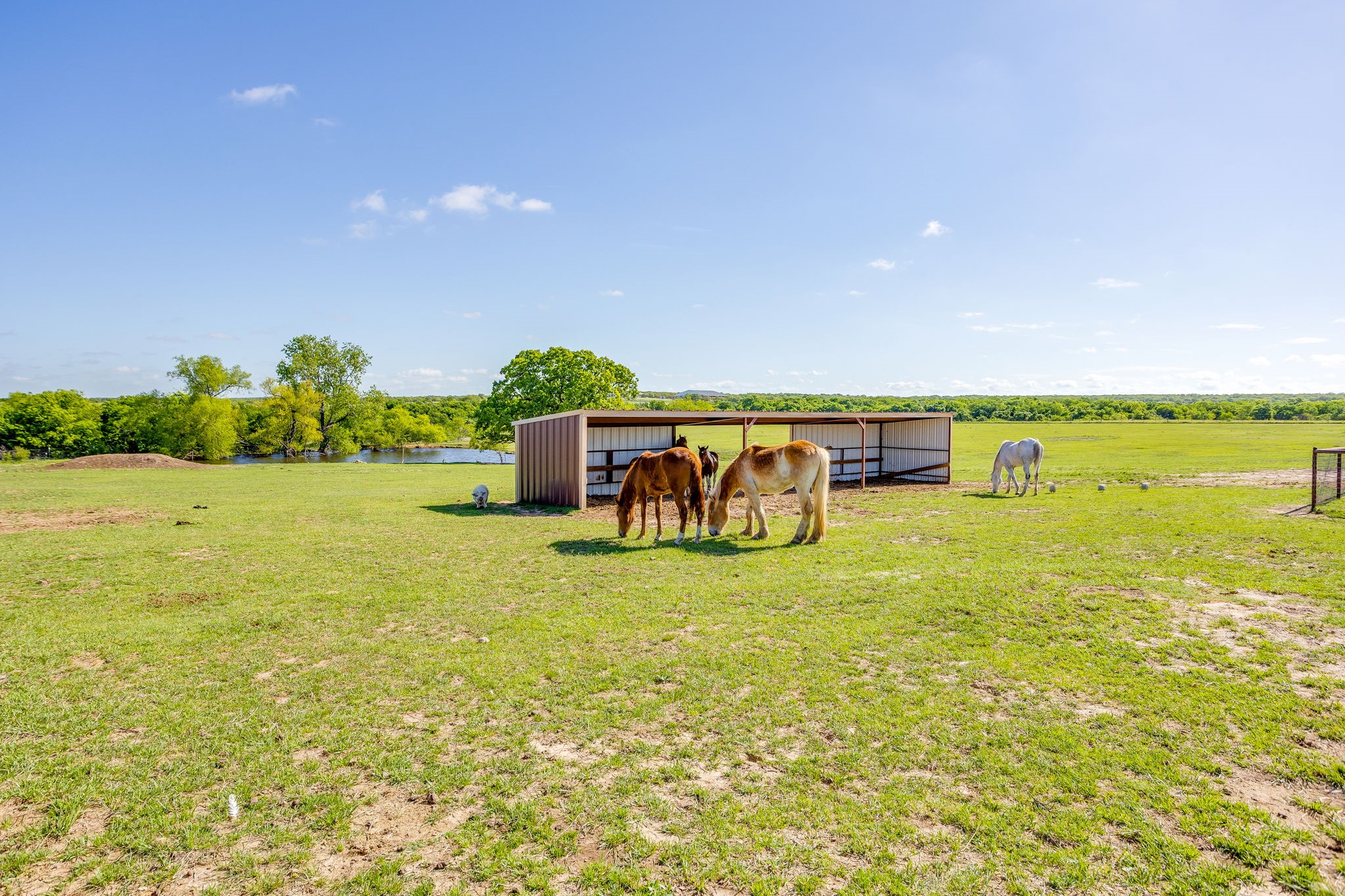 3678 County Road 3655 Bridgeport TX 76426