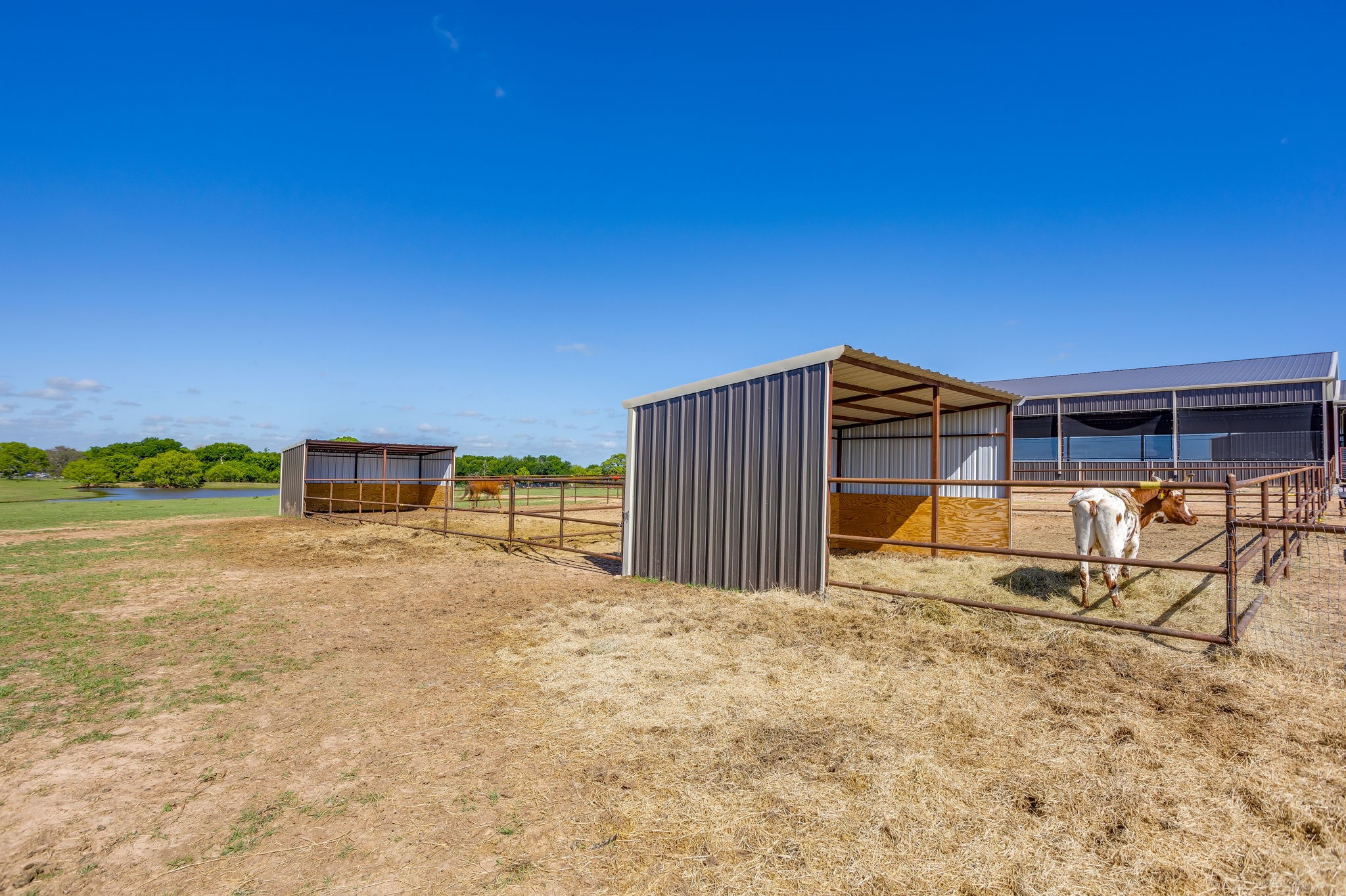 3678 County Road 3655 Bridgeport TX 76426