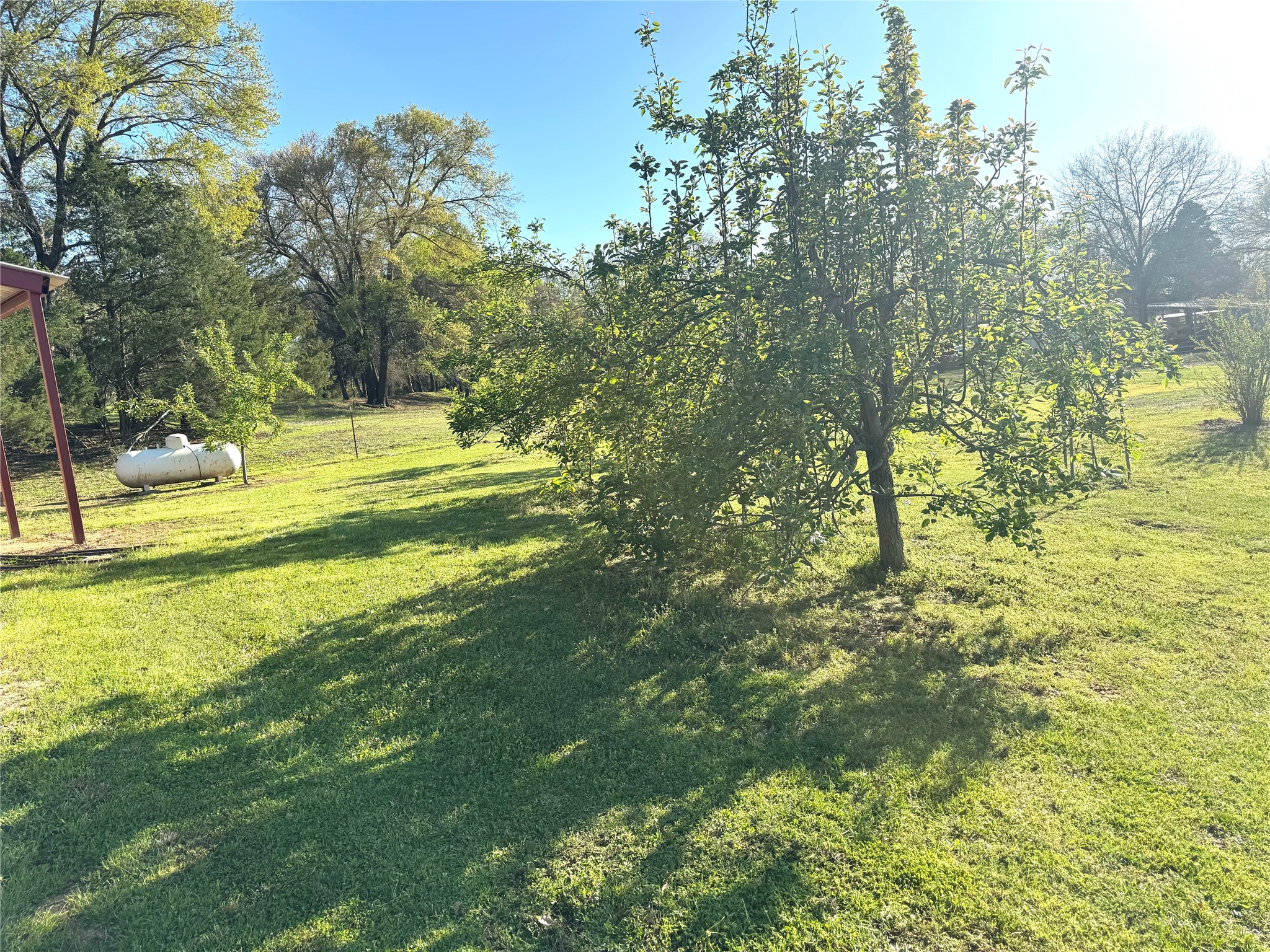 205 County Road 1135 Ravenna TX 75476