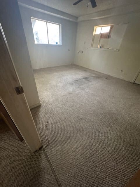 237 Palm Marlin TX 76661