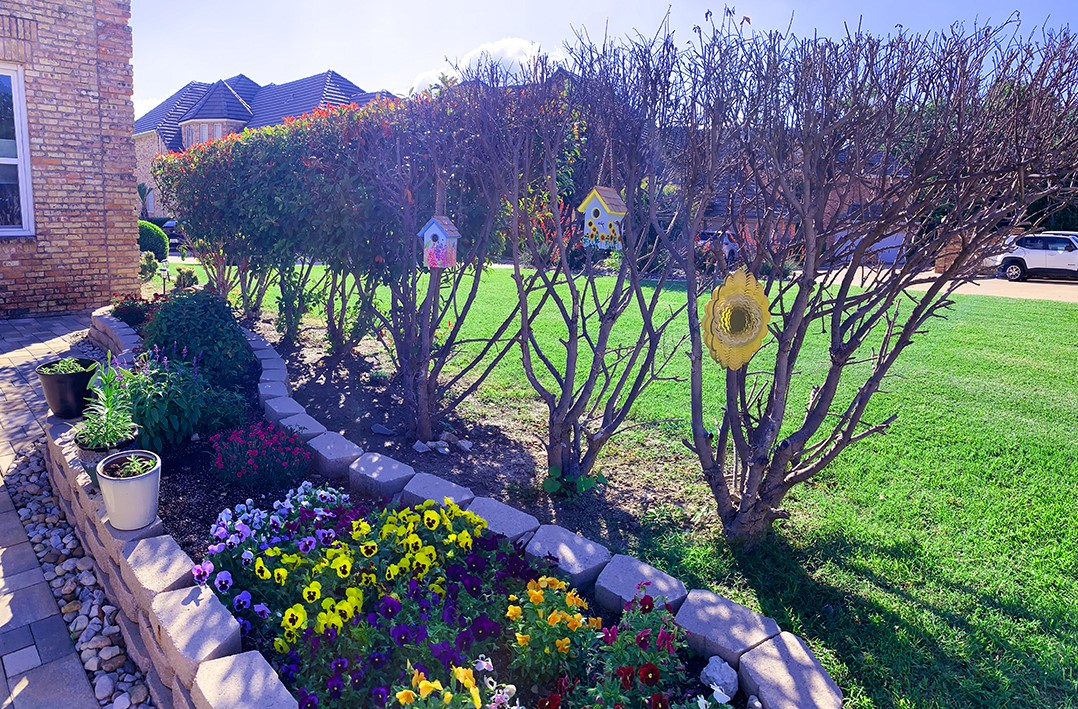 8404 Sunset Cove Drive Fort Worth TX 76179