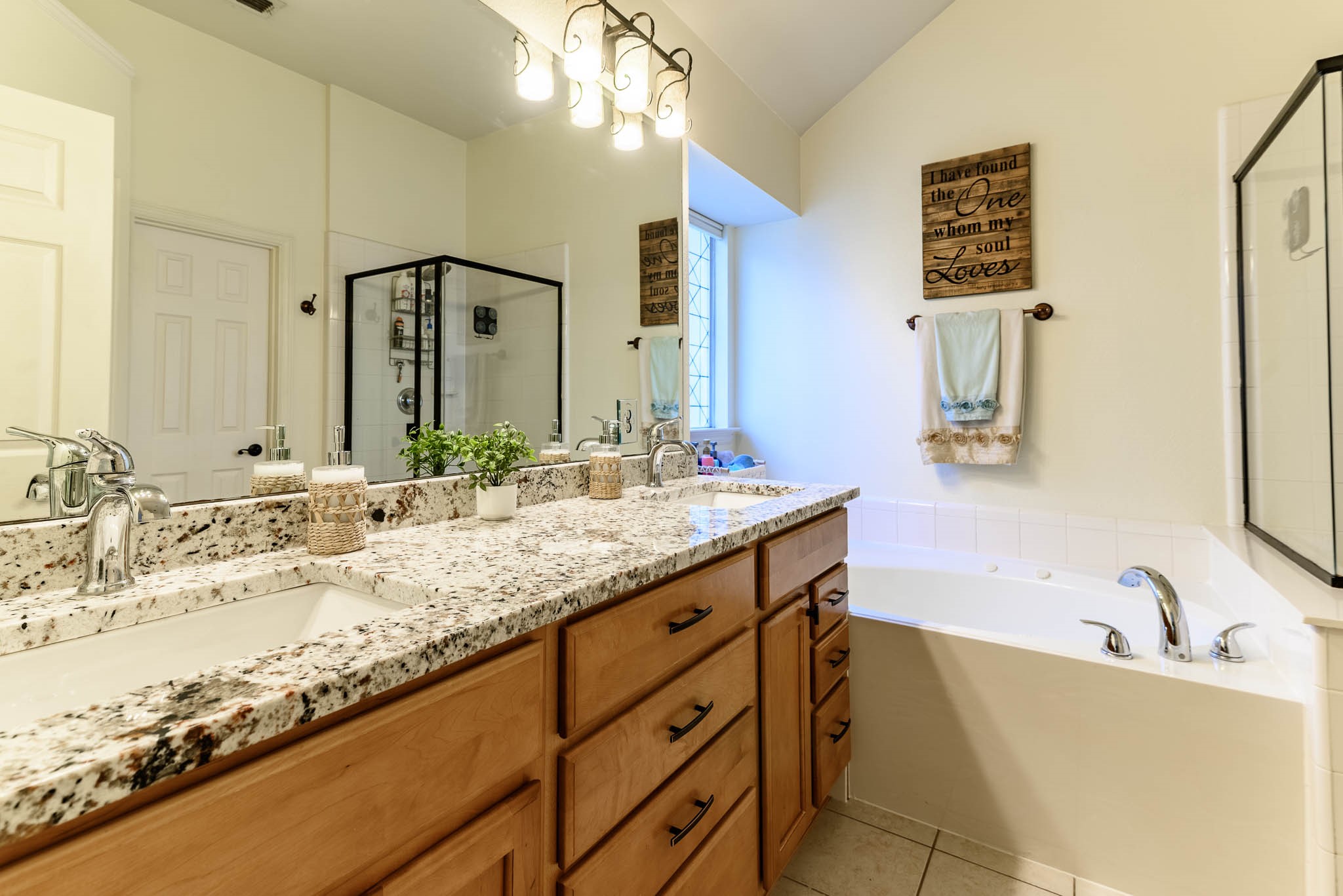223 Bluebonnet Trail Mansfield TX 76063