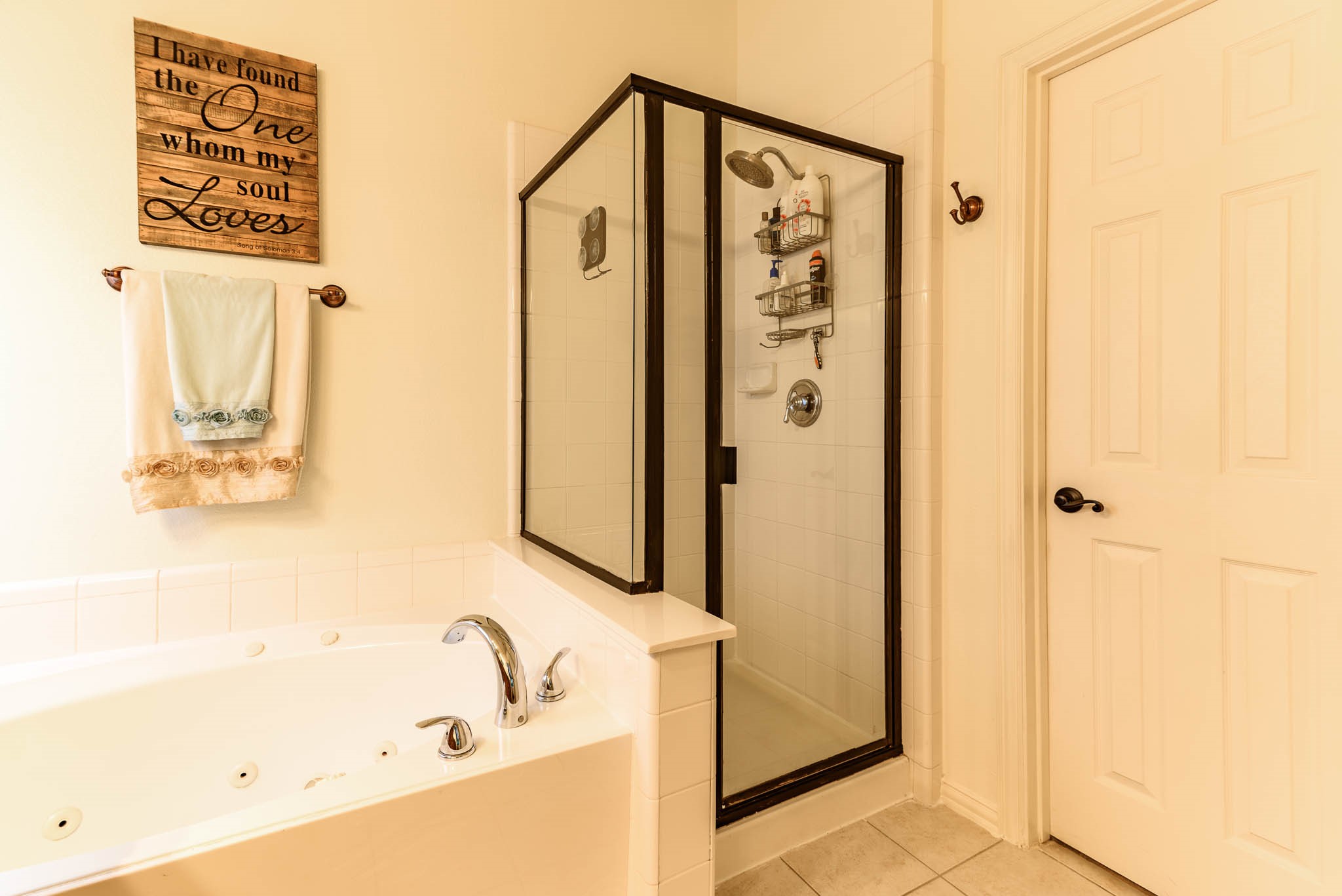 223 Bluebonnet Trail Mansfield TX 76063