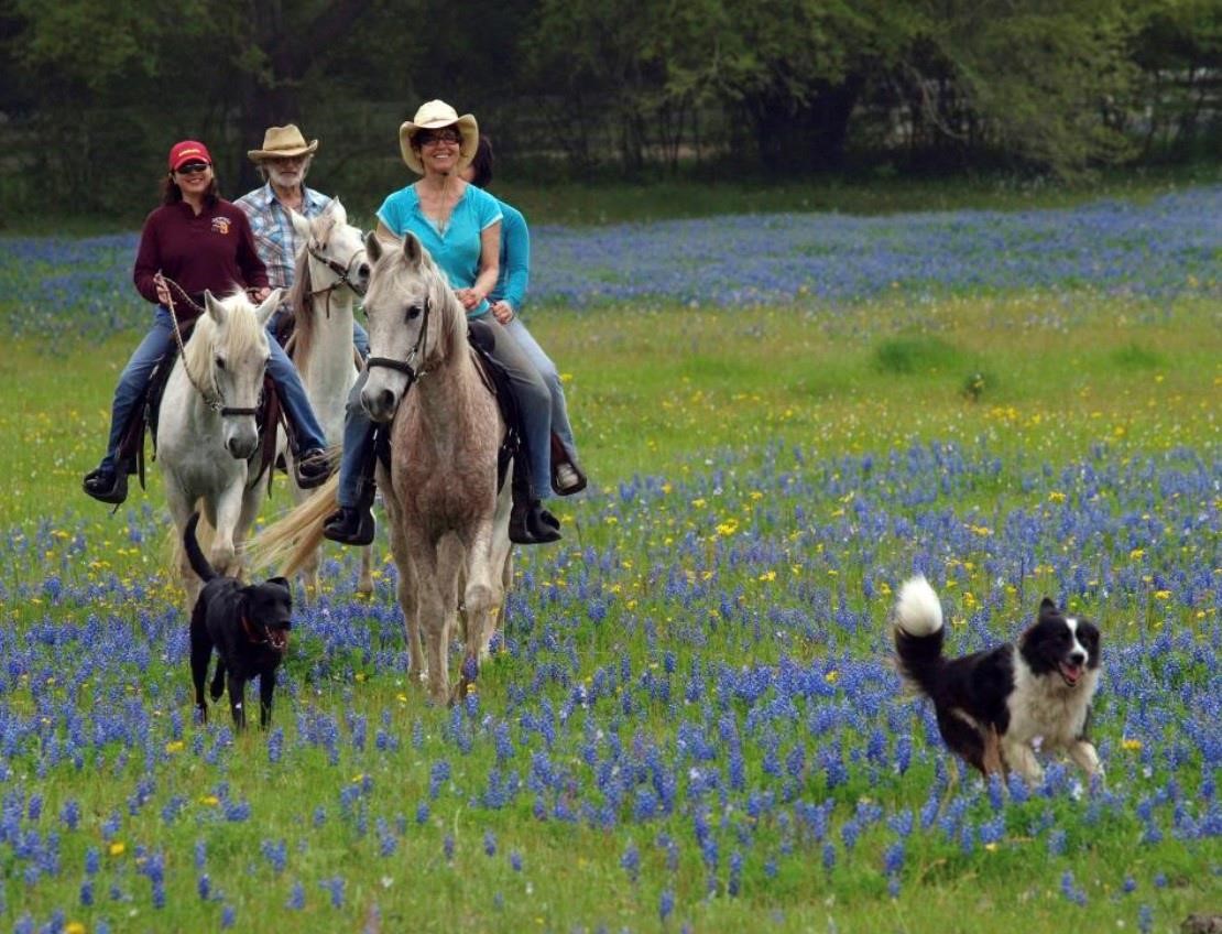 Tbd Bayshore Drive Flower Mound TX 75022