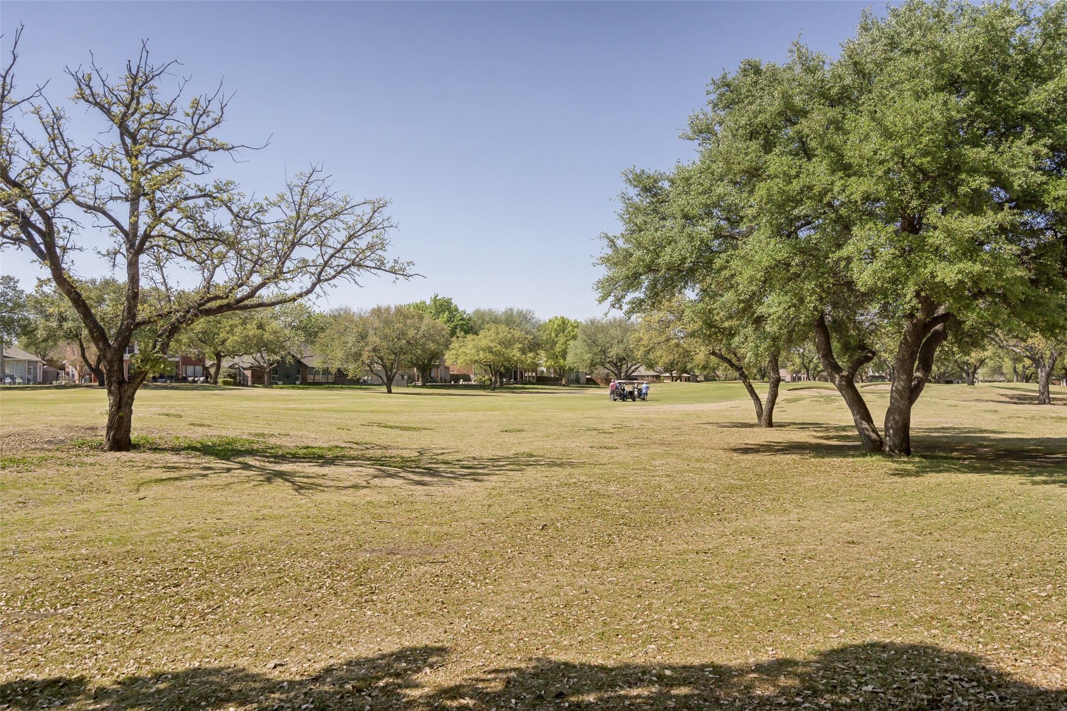 5801 Belle Chasse Lane Frisco TX 75035