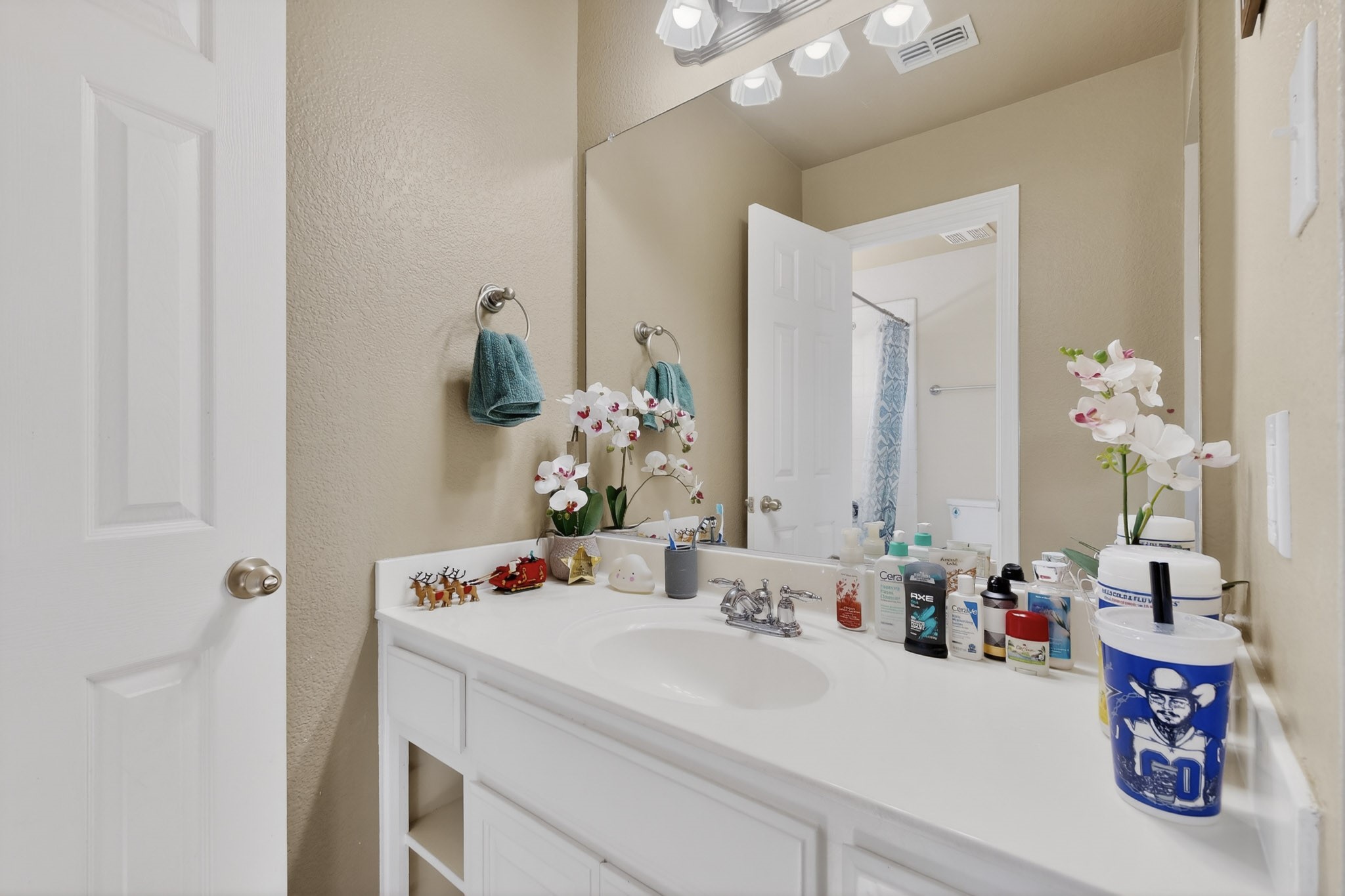 2772 Barnhill Lane Frisco TX 75034