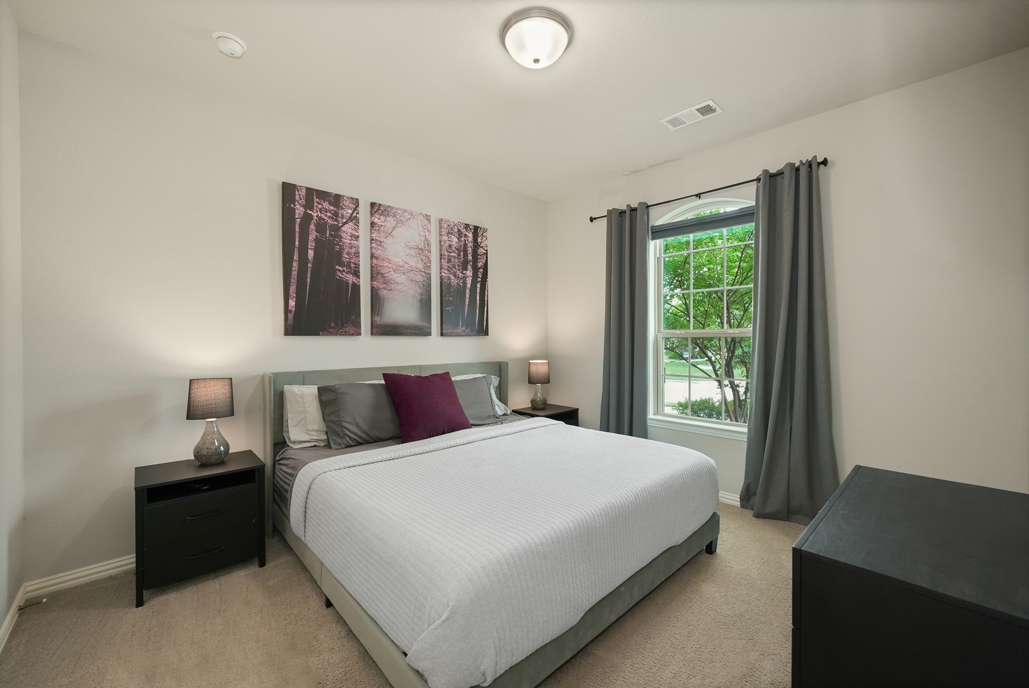 1617 Snapdragon Court Celina TX 75078