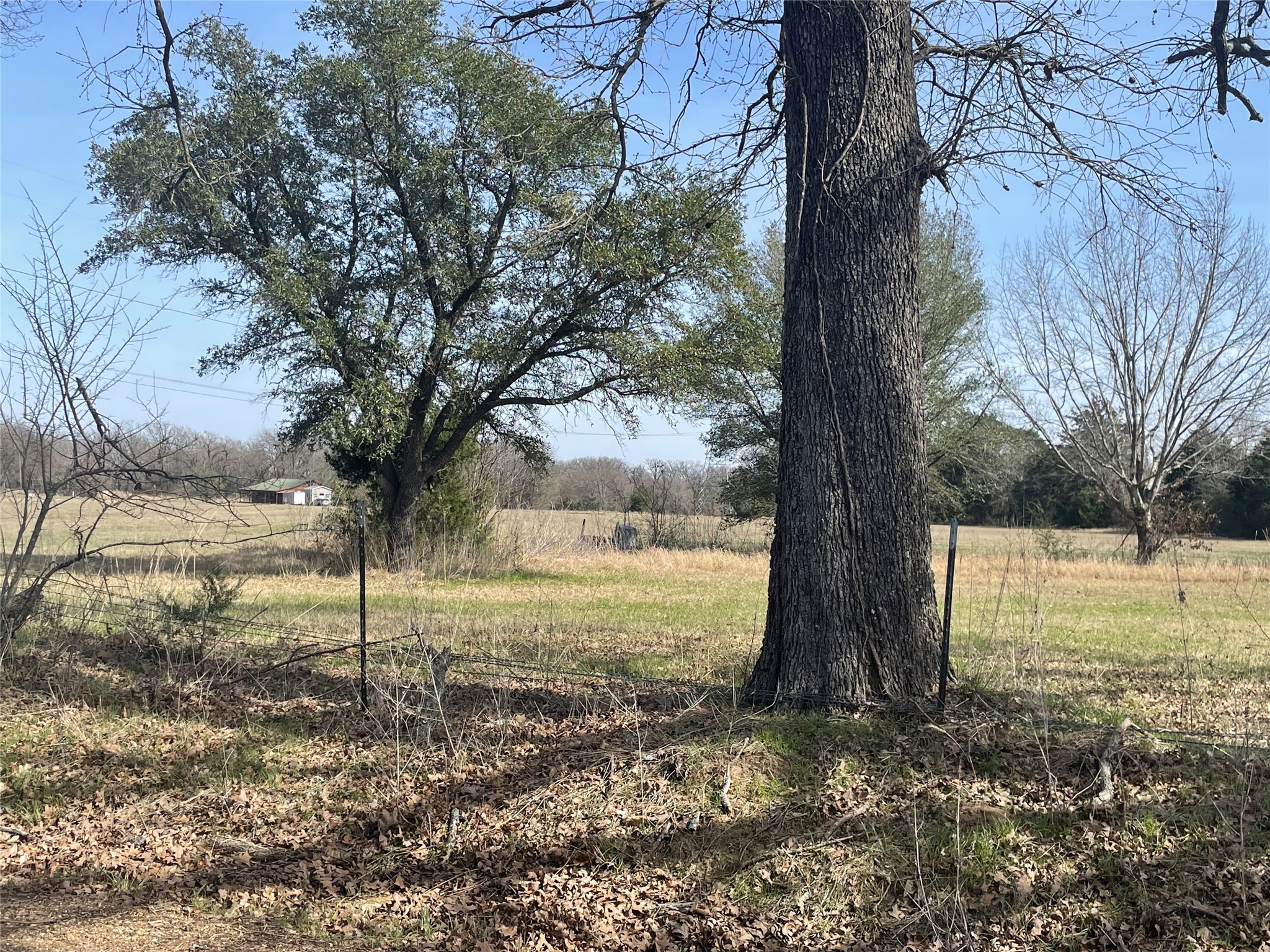 1226 Vz County Road Grand Saline TX 75140