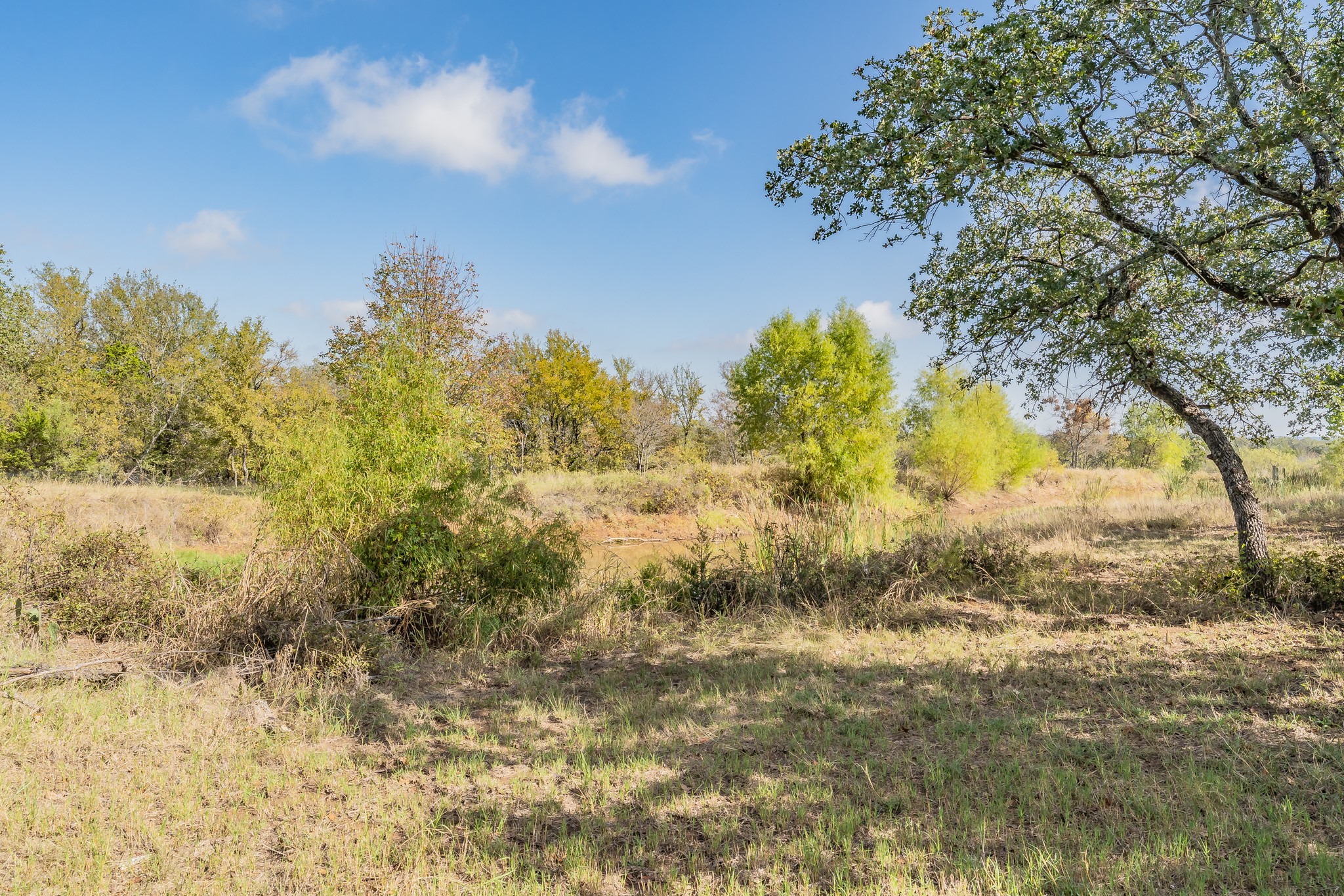417 Wood River Road Millsap TX 76066