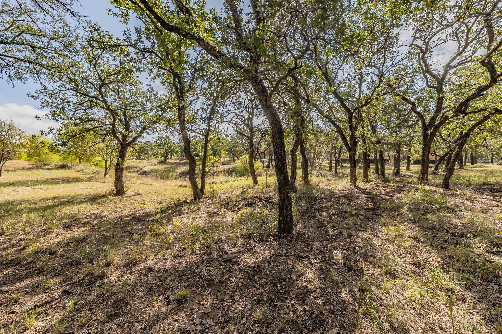 417 Wood River Road Millsap TX 76066