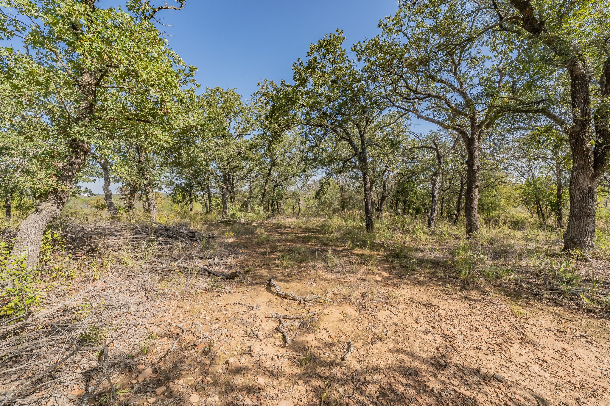 417 Wood River Road Millsap TX 76066