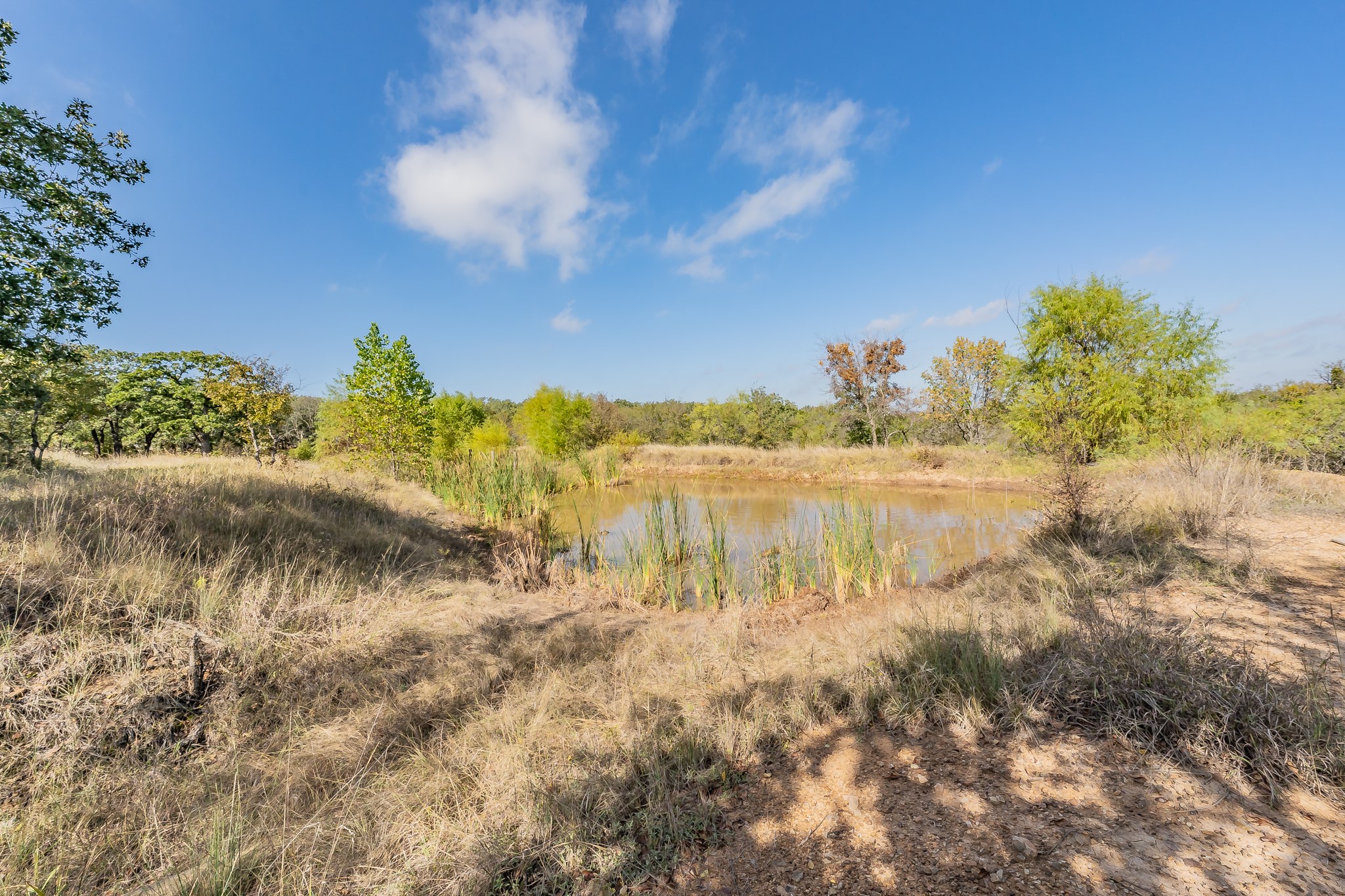 417 Wood River Road Millsap TX 76066